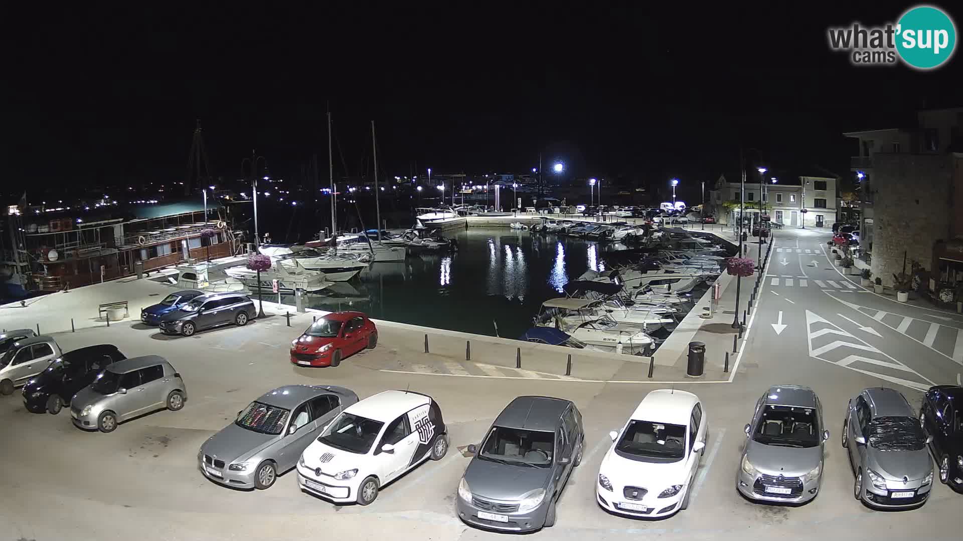 Novigrad | Porporela marina
