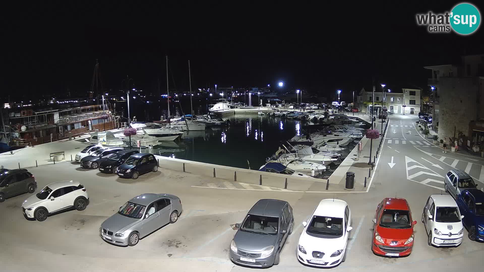 Novigrad | Porporela marina