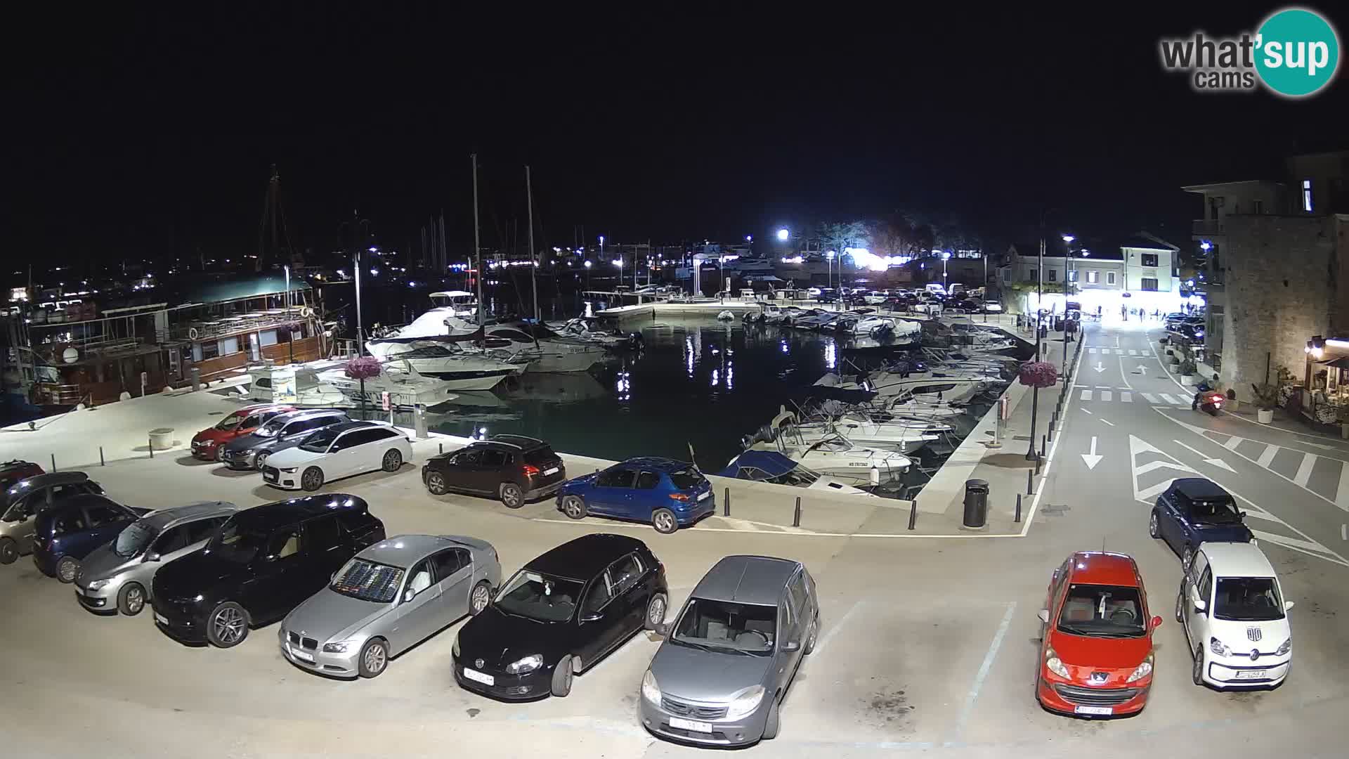 Novigrad | Porporela marina
