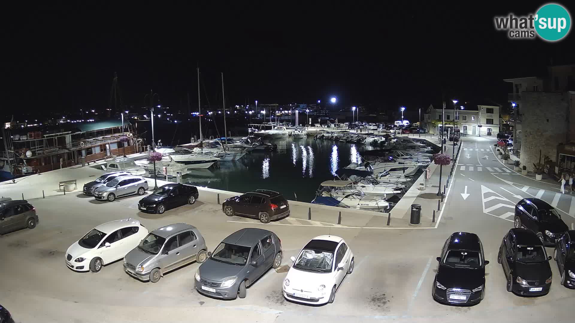 Novigrad | Porporela marina