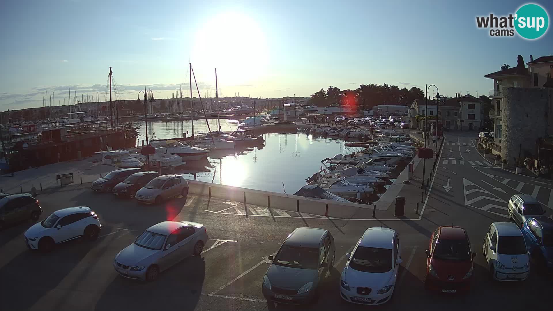 Novigrad | Porporela marina