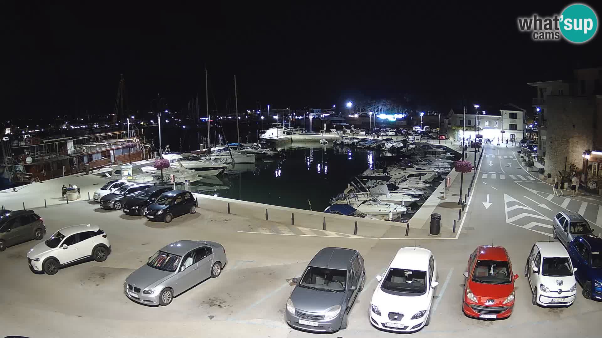 Novigrad | Porporela marina