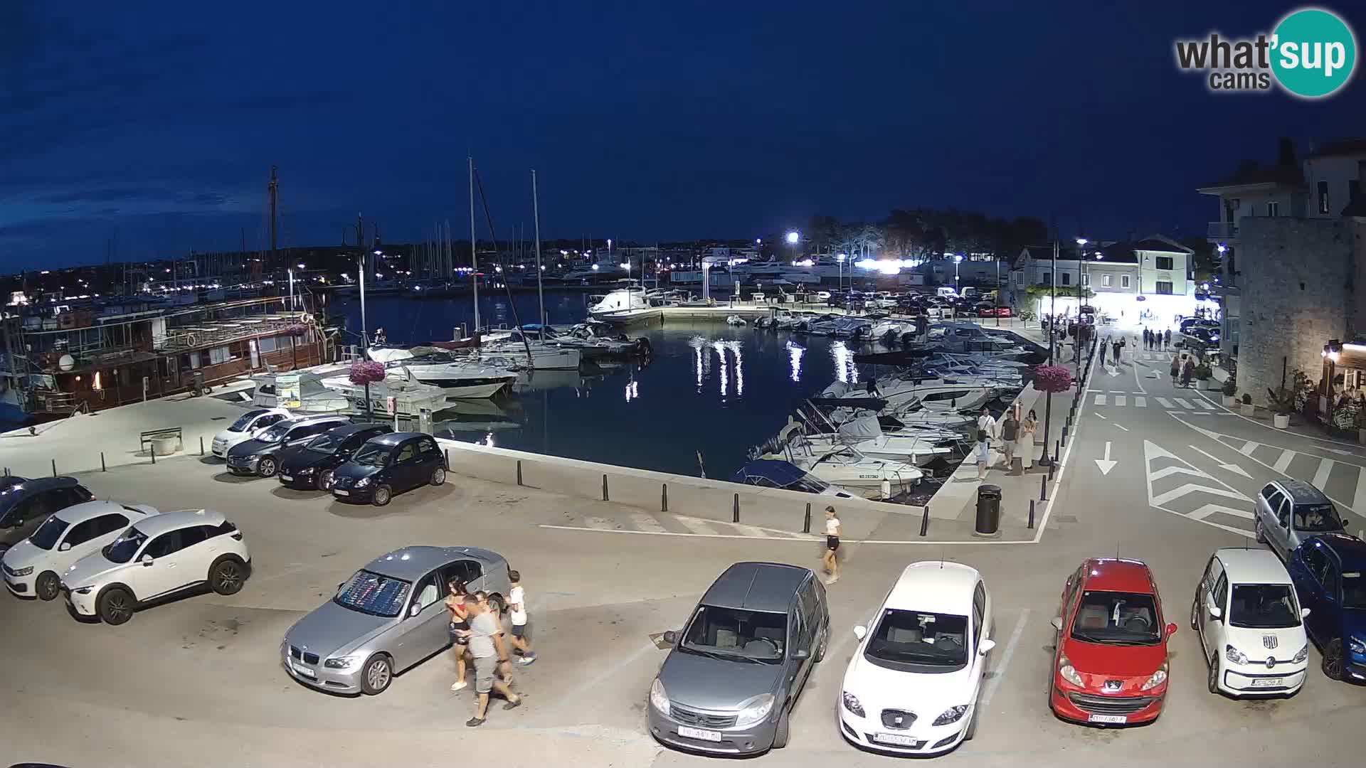 Novigrad | Porporela marina