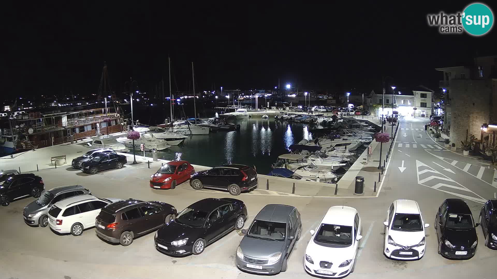 Novigrad | Porporela marina