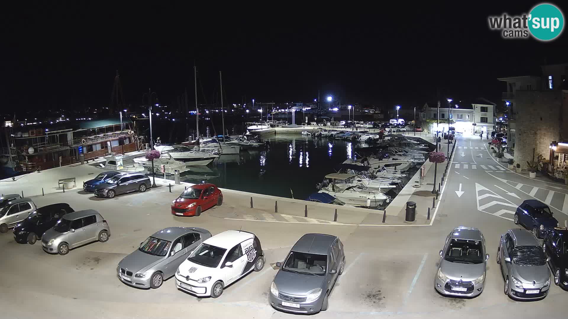 Novigrad | Porporela marina