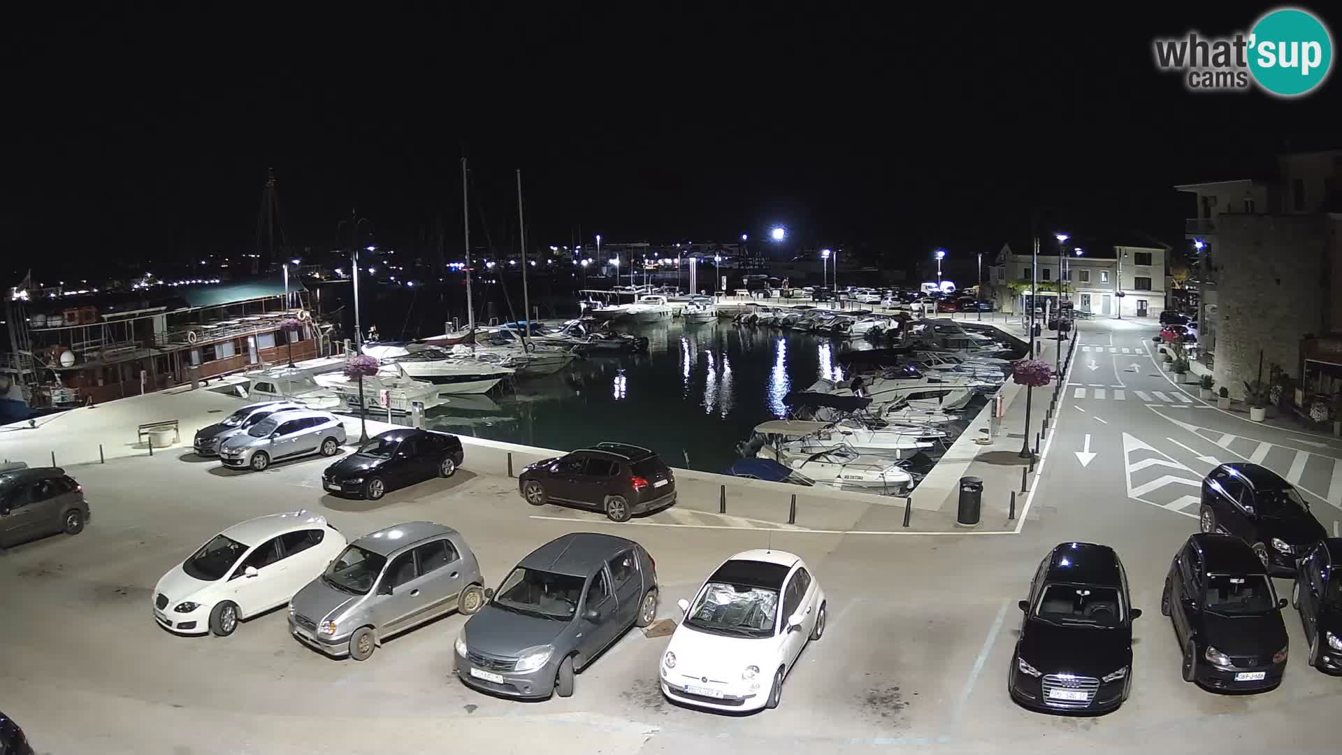 Novigrad | Porporela marina