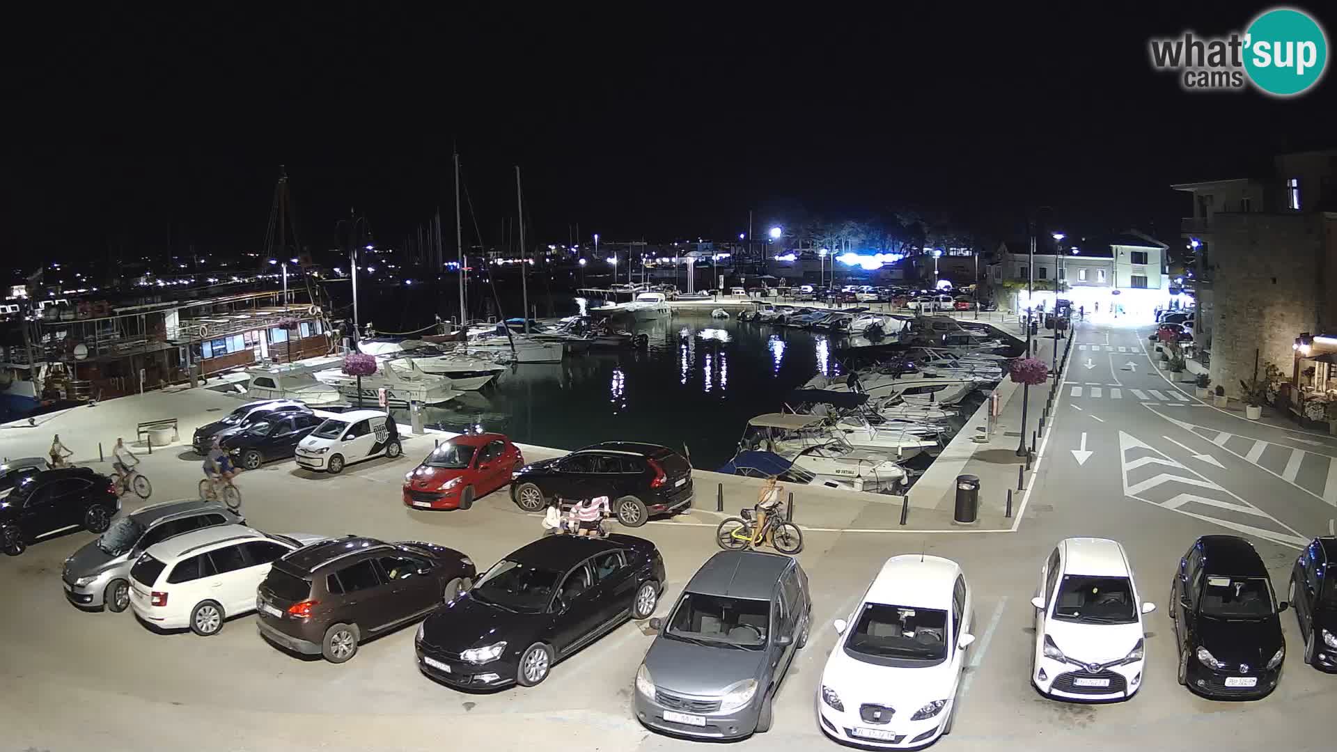 Novigrad | Porporela marina