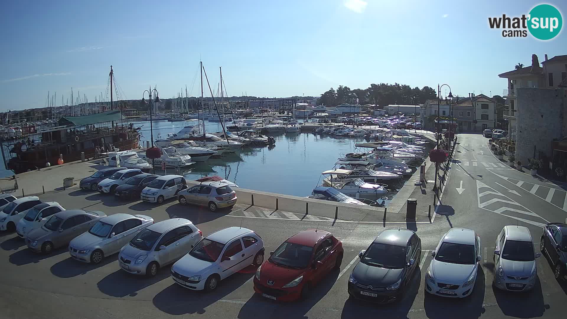 Novigrad | Porporela marina