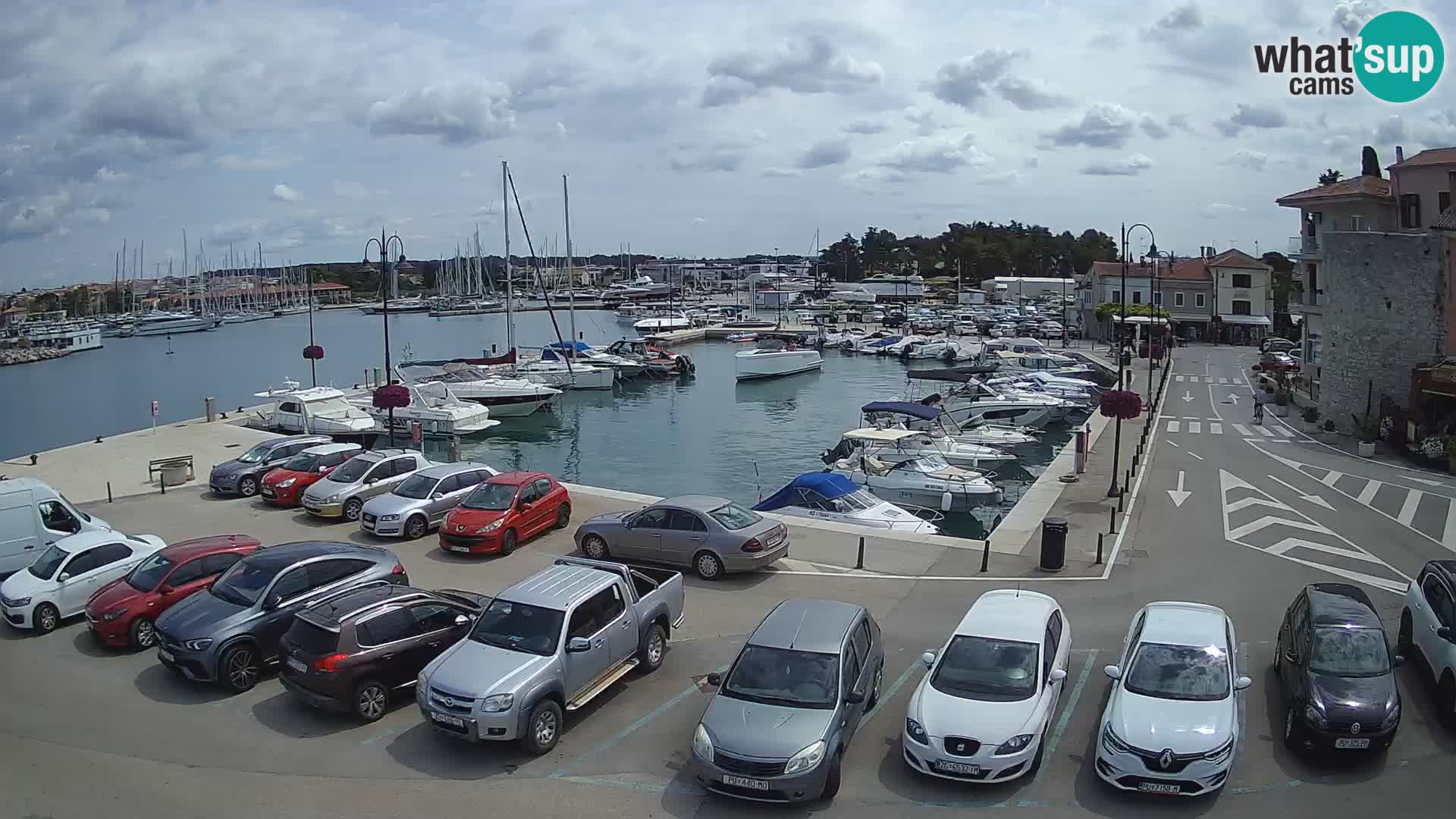 Novigrad | Porporela marina