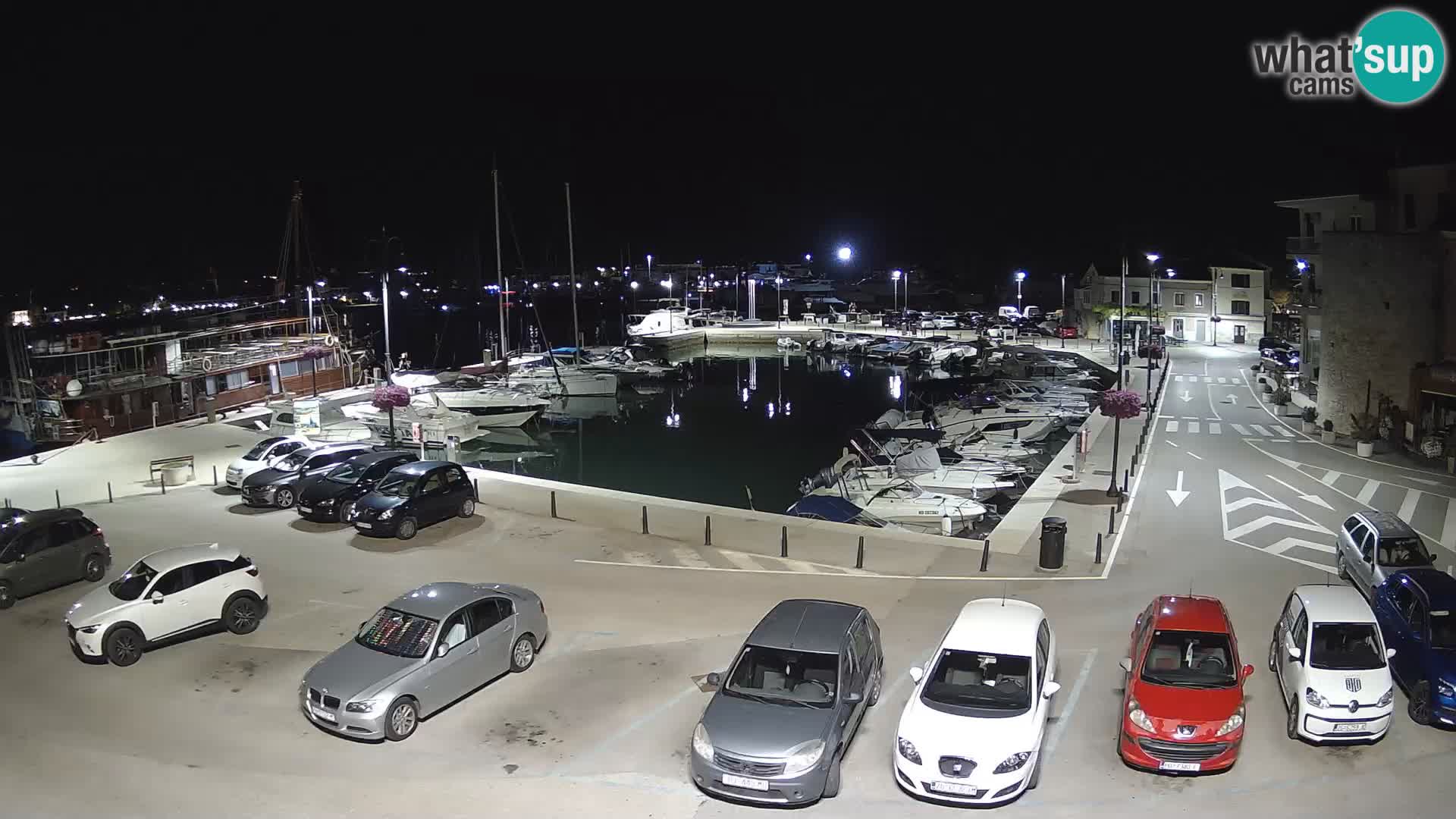 Novigrad | Porporela marina