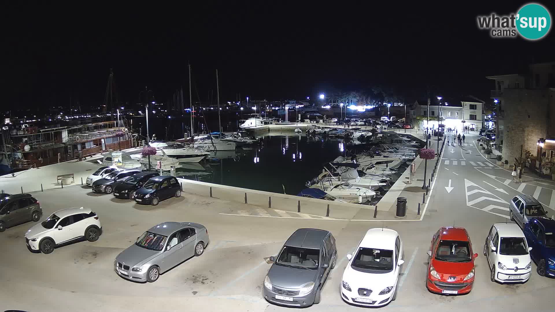 Novigrad | Porporela marina