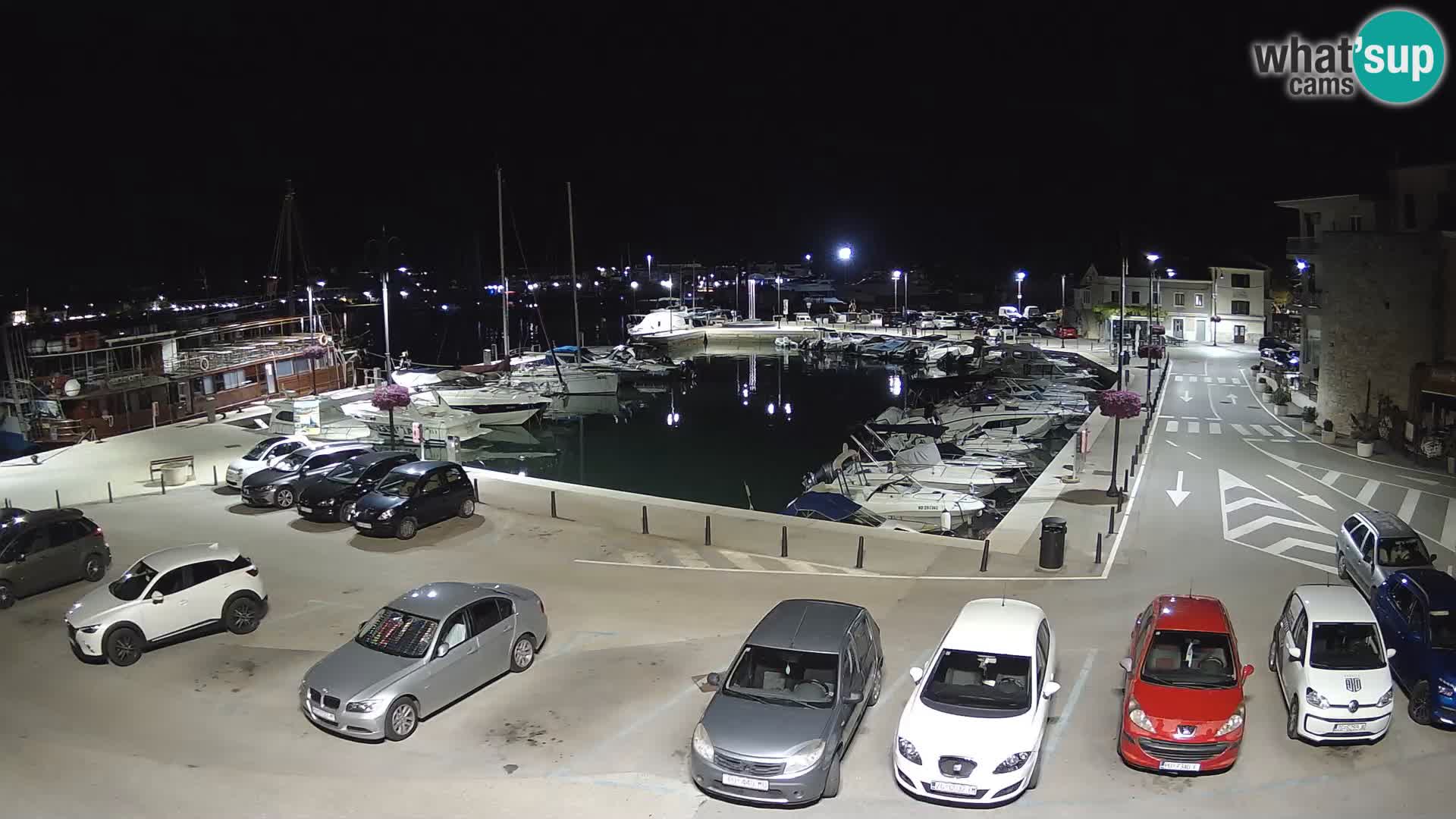 Novigrad | Porporela marina