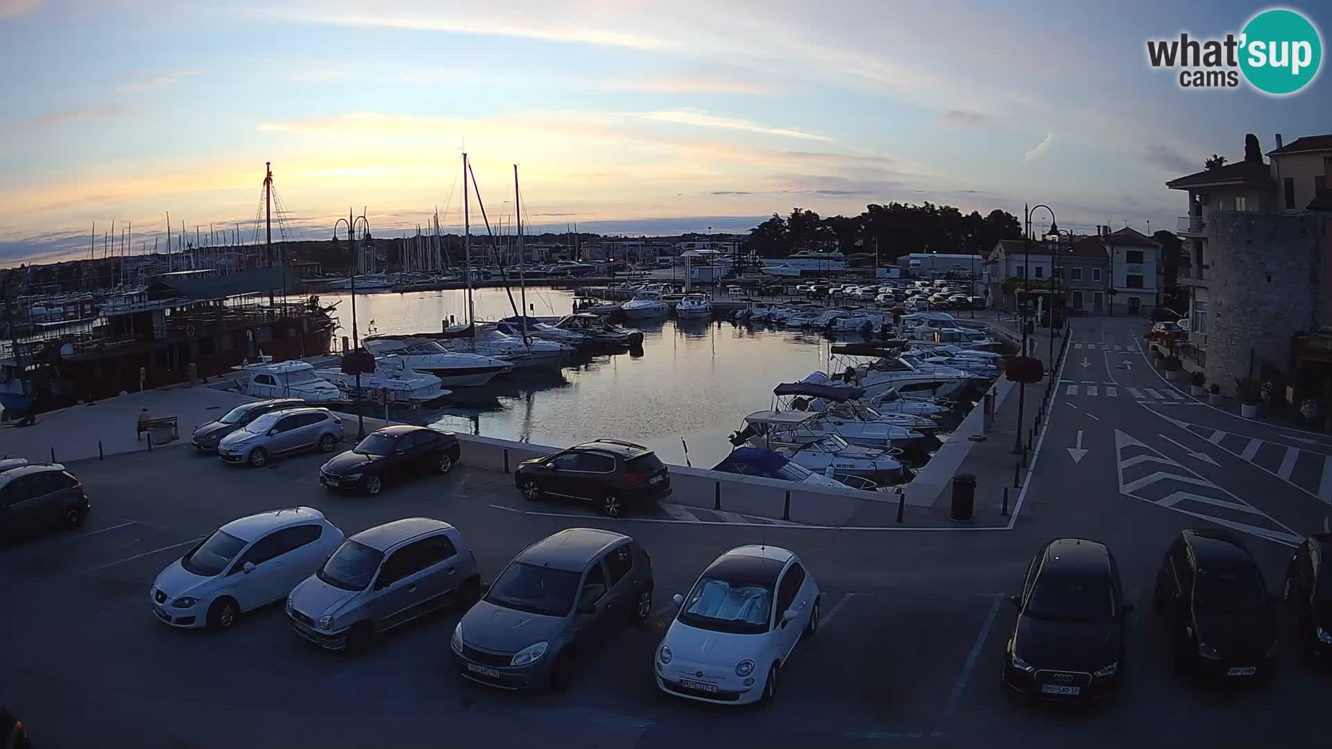 Novigrad | Porporela marina