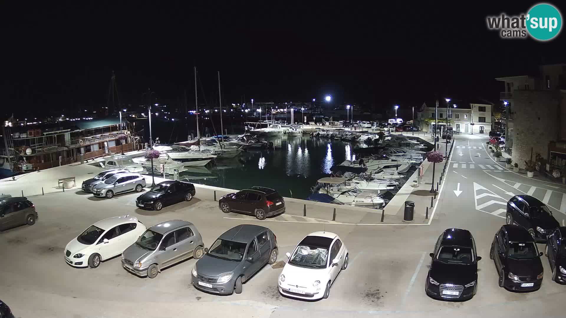 Novigrad | Porporela marina