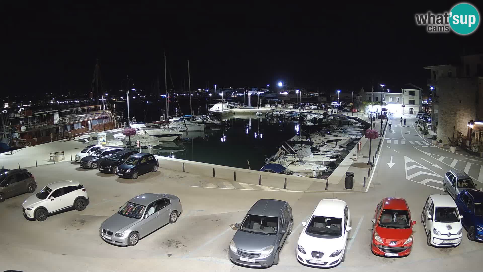 Novigrad | Porporela marina