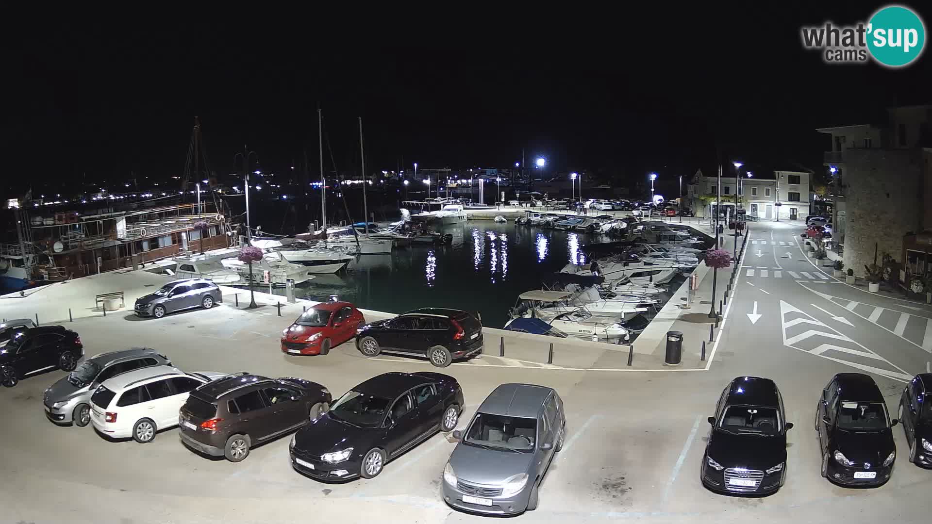 Novigrad | Porporela marina