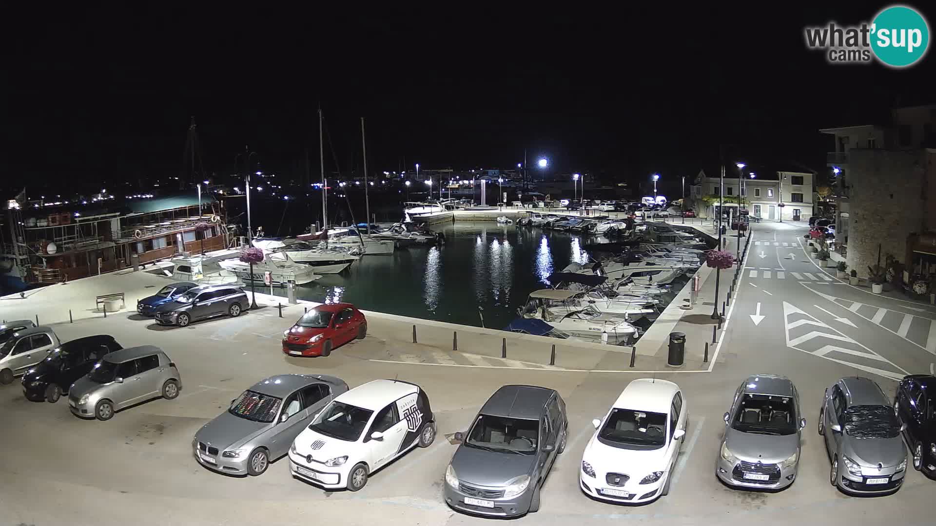 Novigrad | Porporela marina