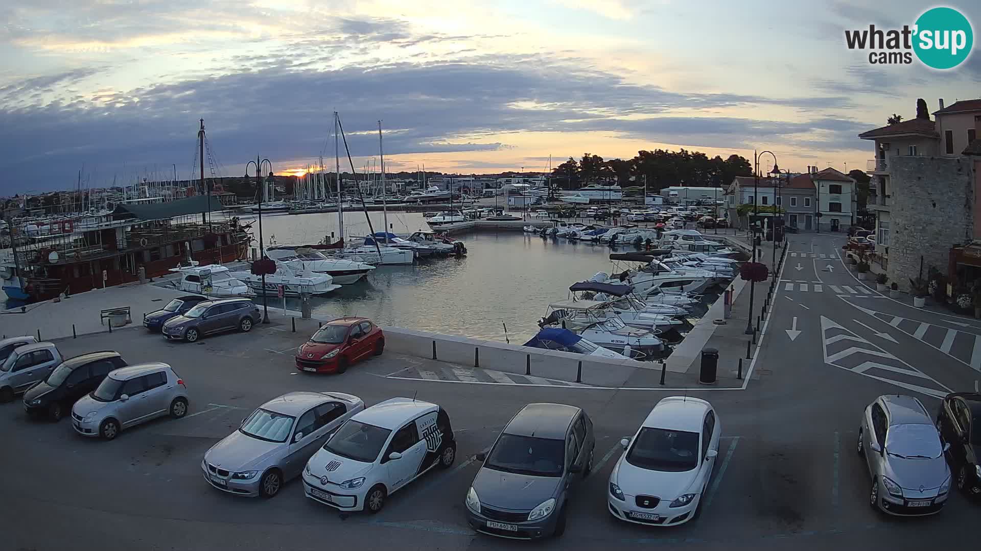 Novigrad | Porporela marina