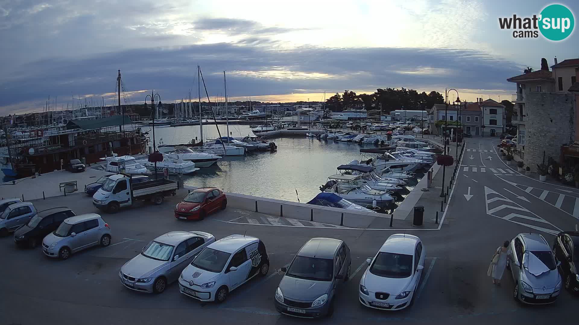 Novigrad | Porporela marina