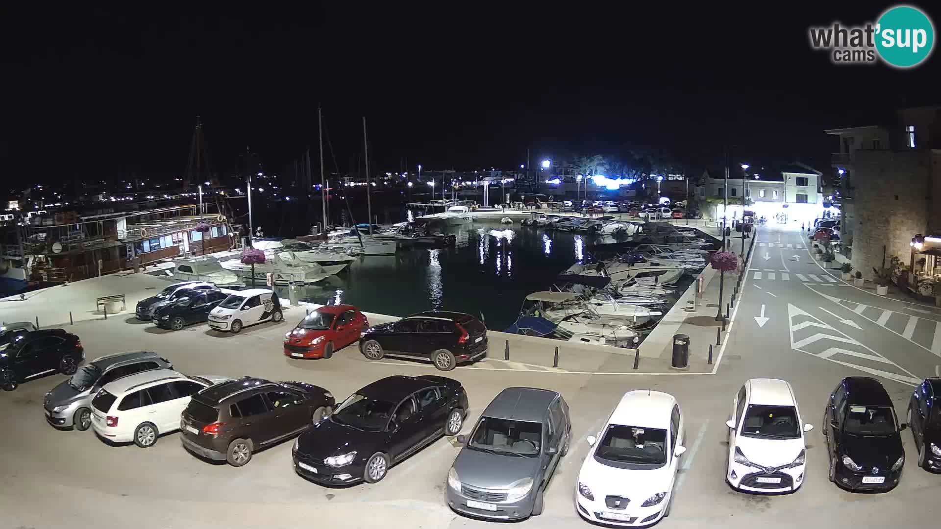 Novigrad | Porporela marina