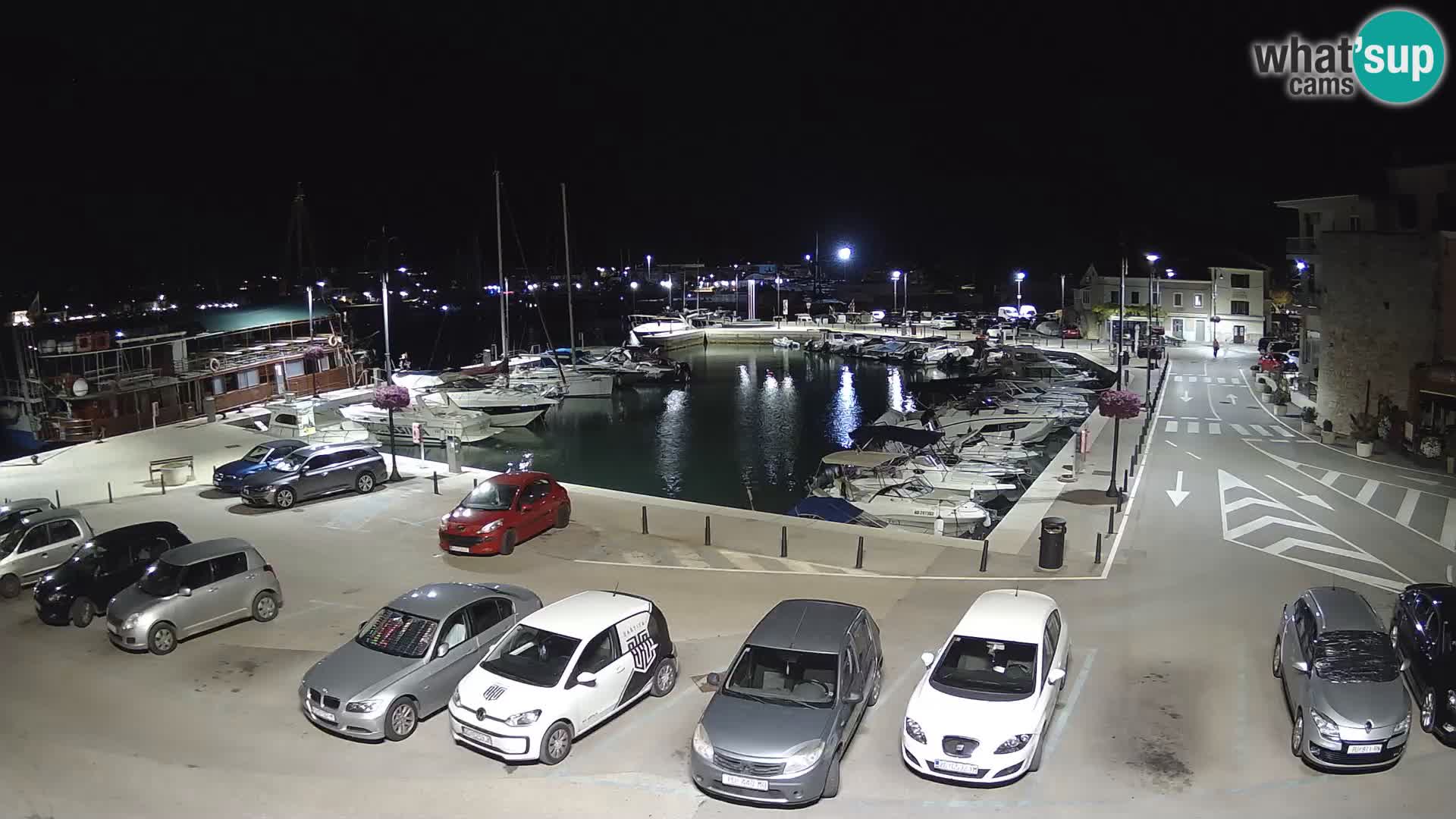 Novigrad | Porporela marina