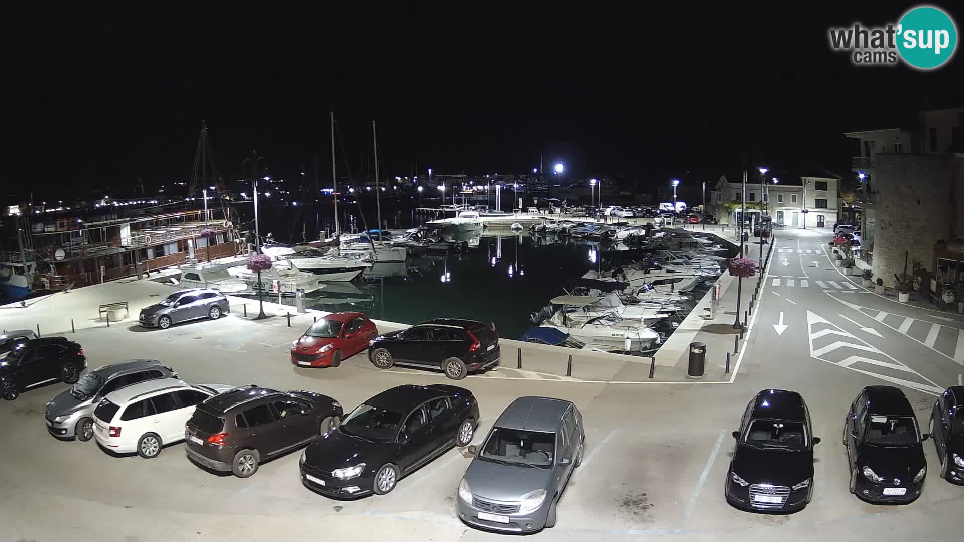 Novigrad | Porporela marina