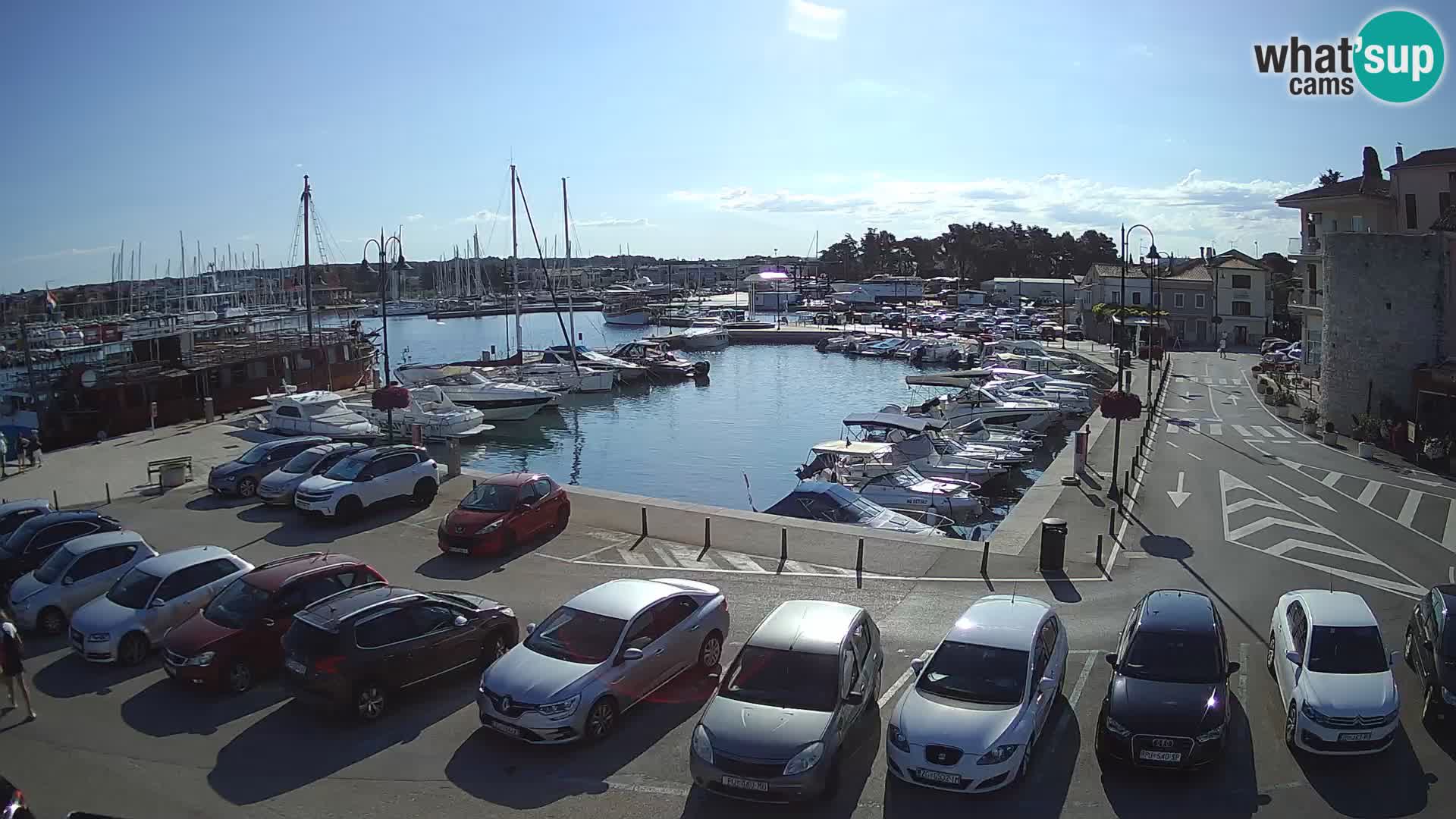 Novigrad | Porporela marina