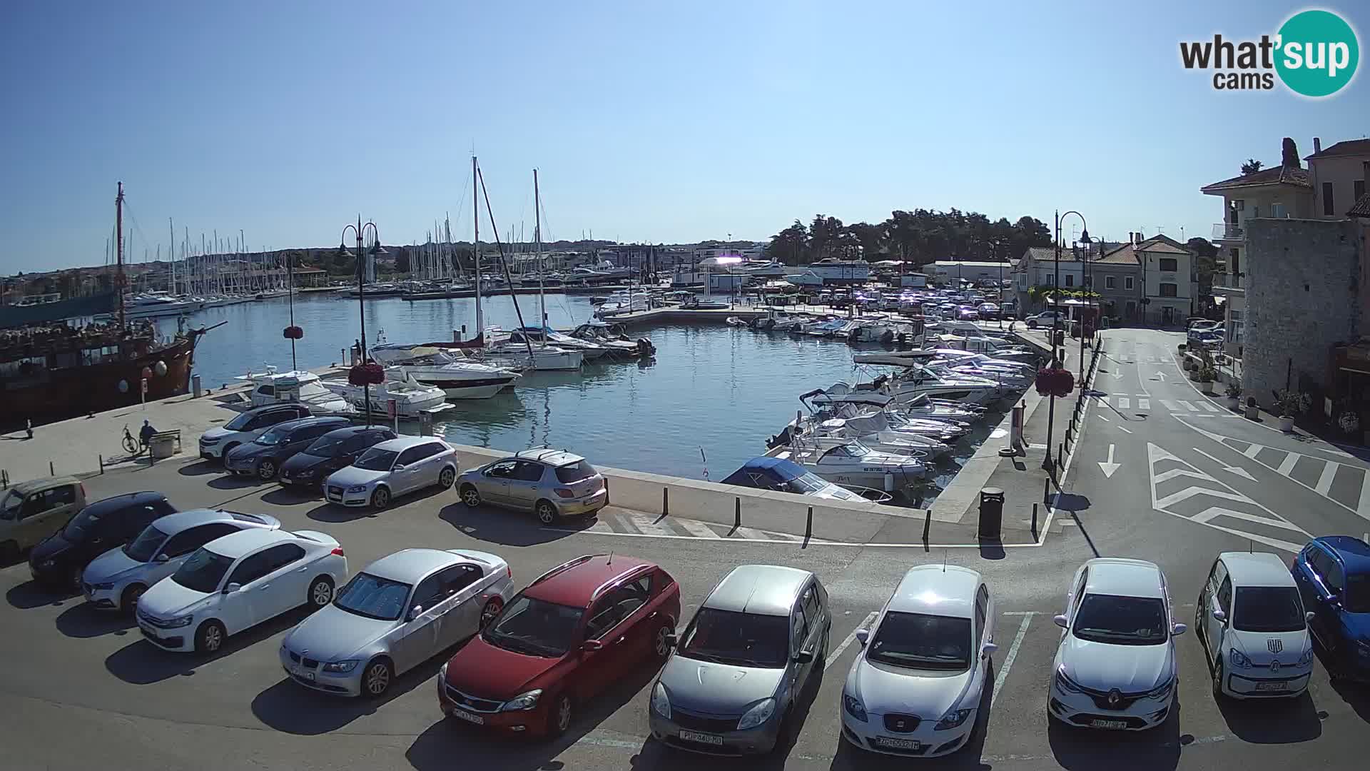 Novigrad | Porporela marina