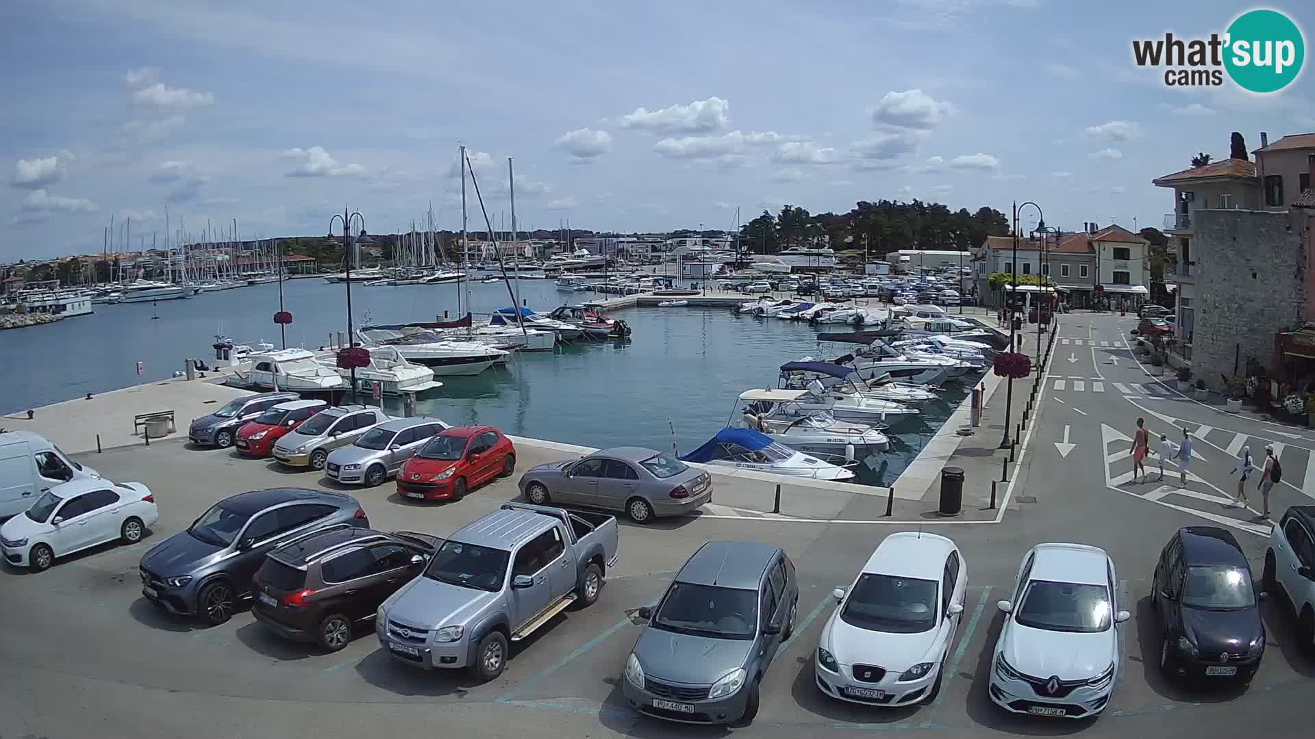 Novigrad | Porporela marina