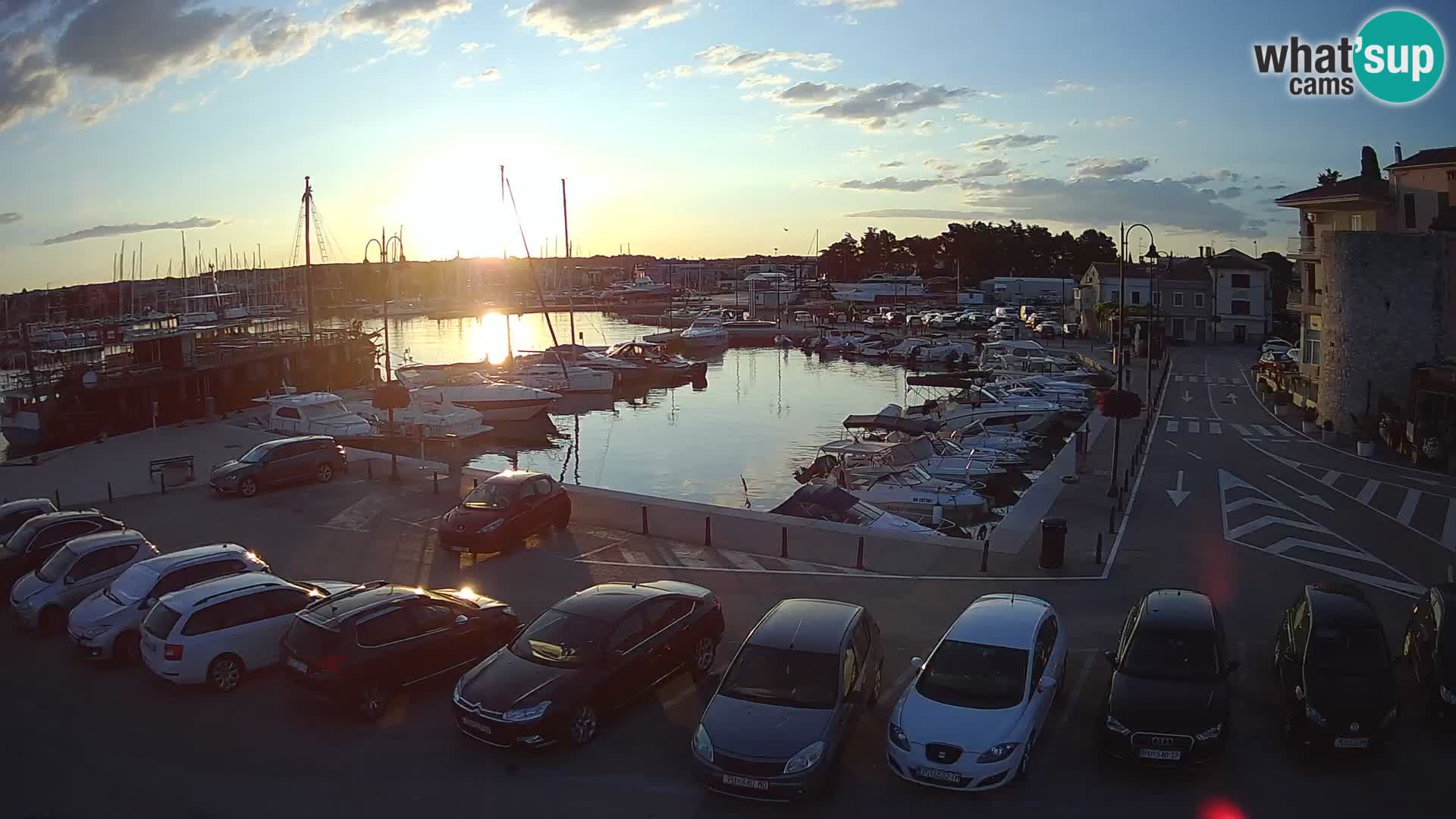 Novigrad | Porporela marina