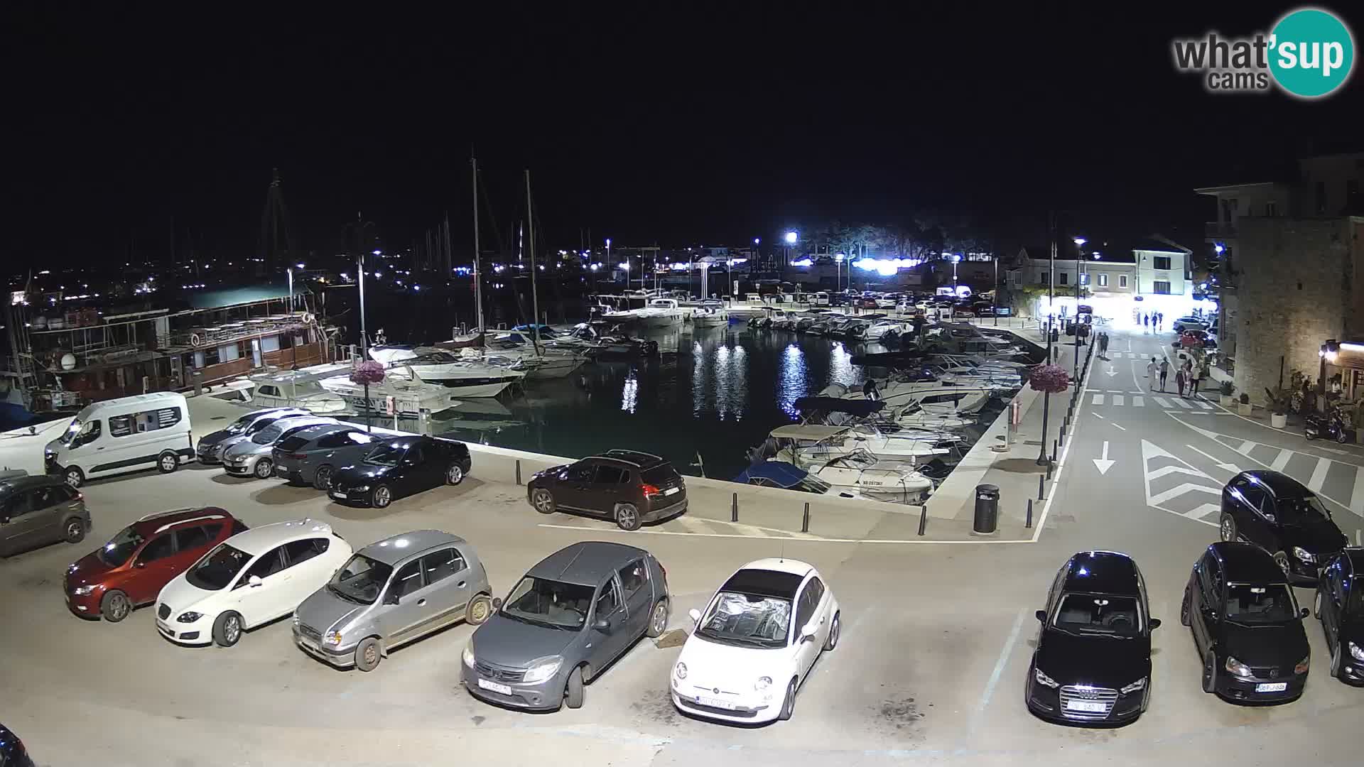 Novigrad | Porporela marina