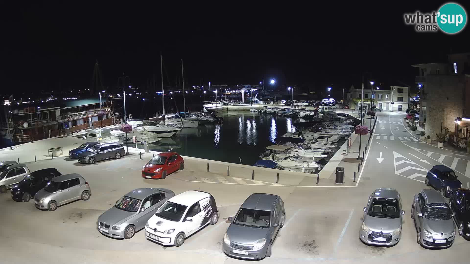 Novigrad | Porporela marina