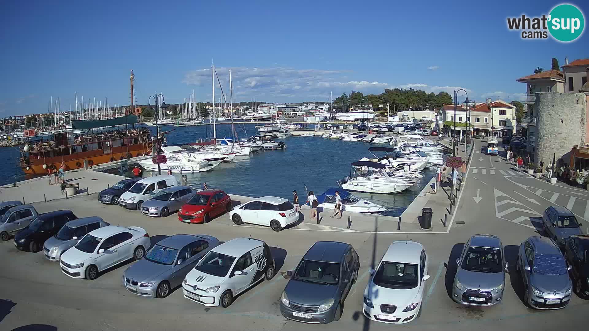 Novigrad | Porporela marina