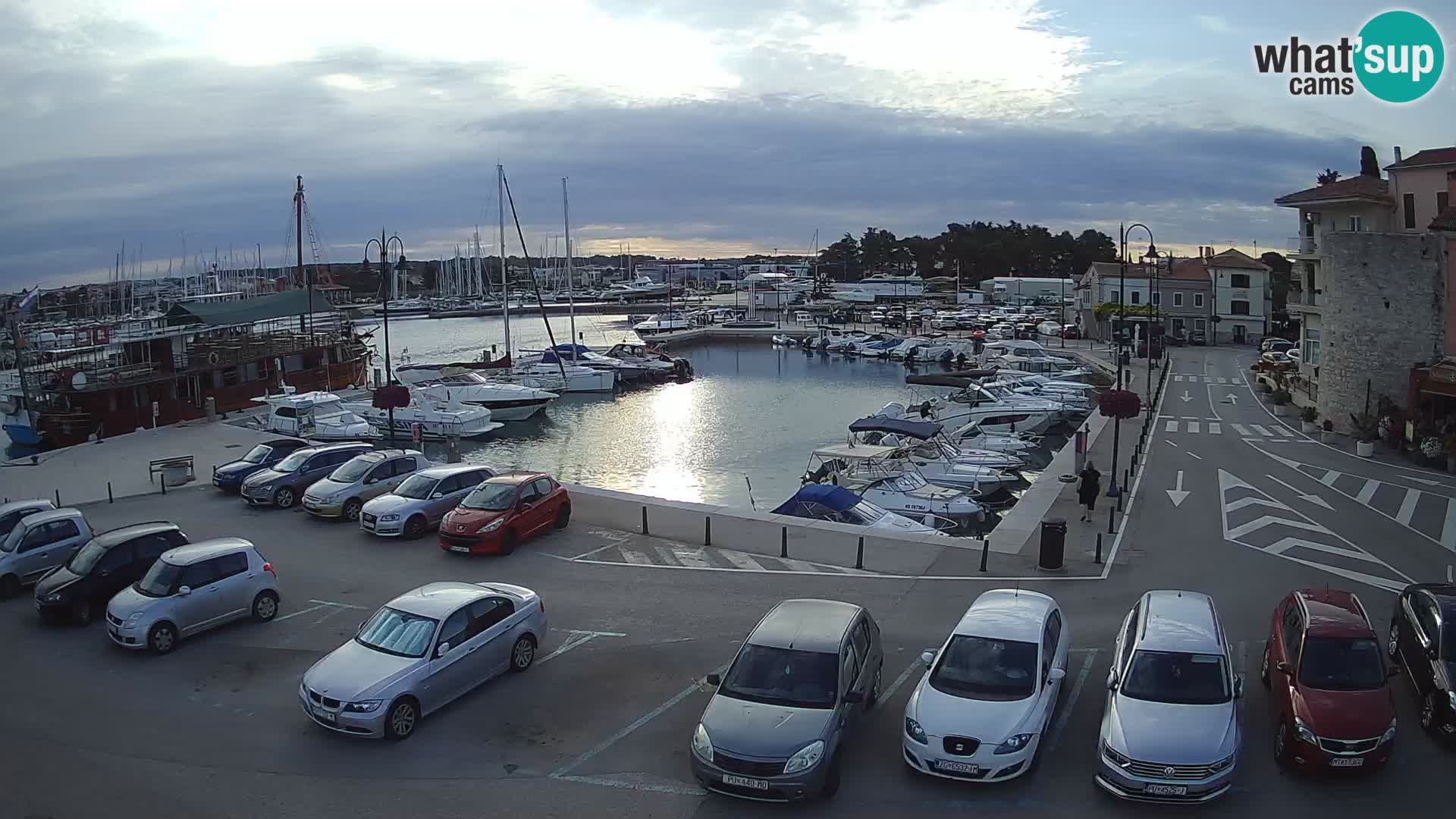 Novigrad | Porporela marina