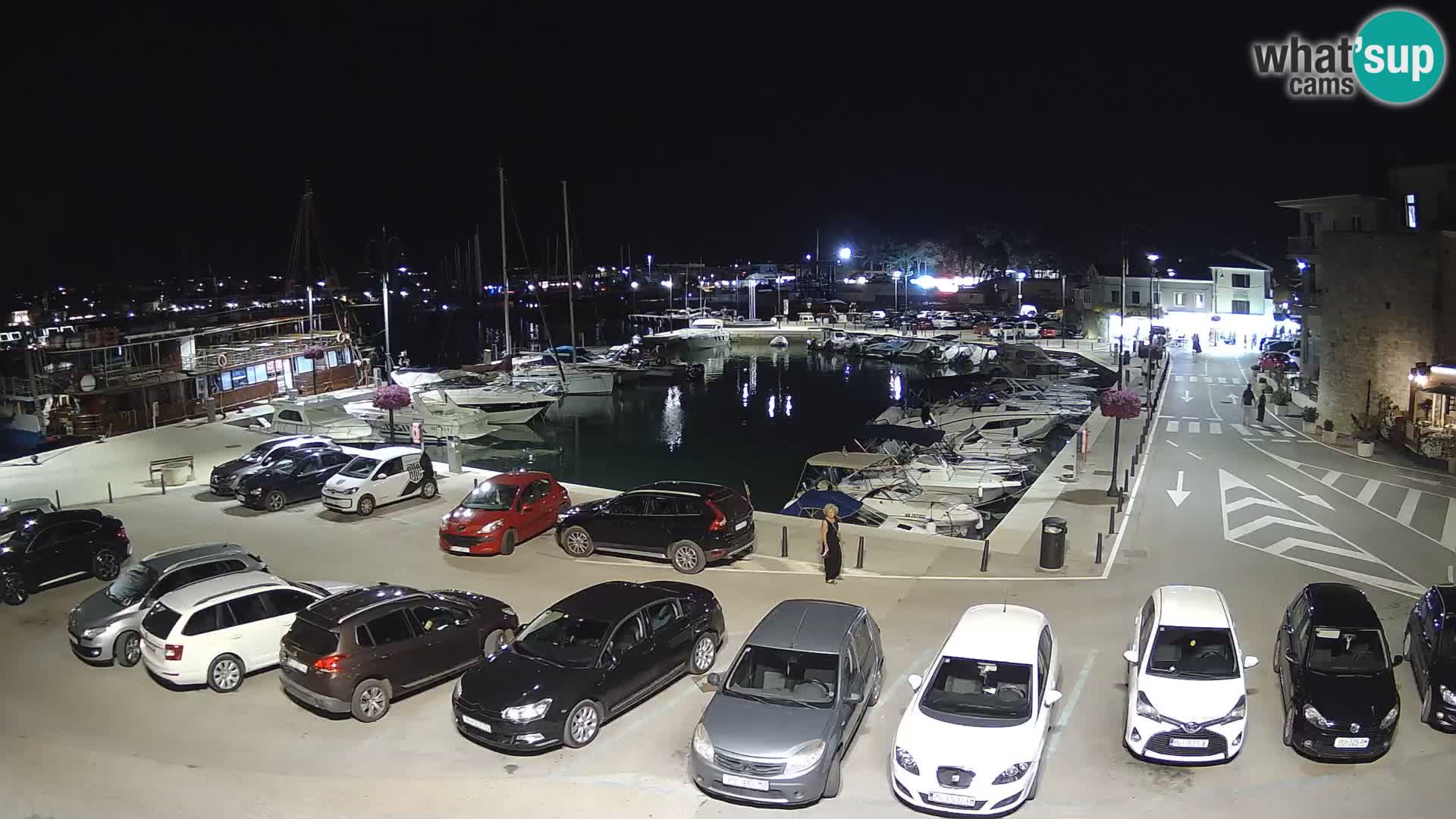 Novigrad | Porporela marina