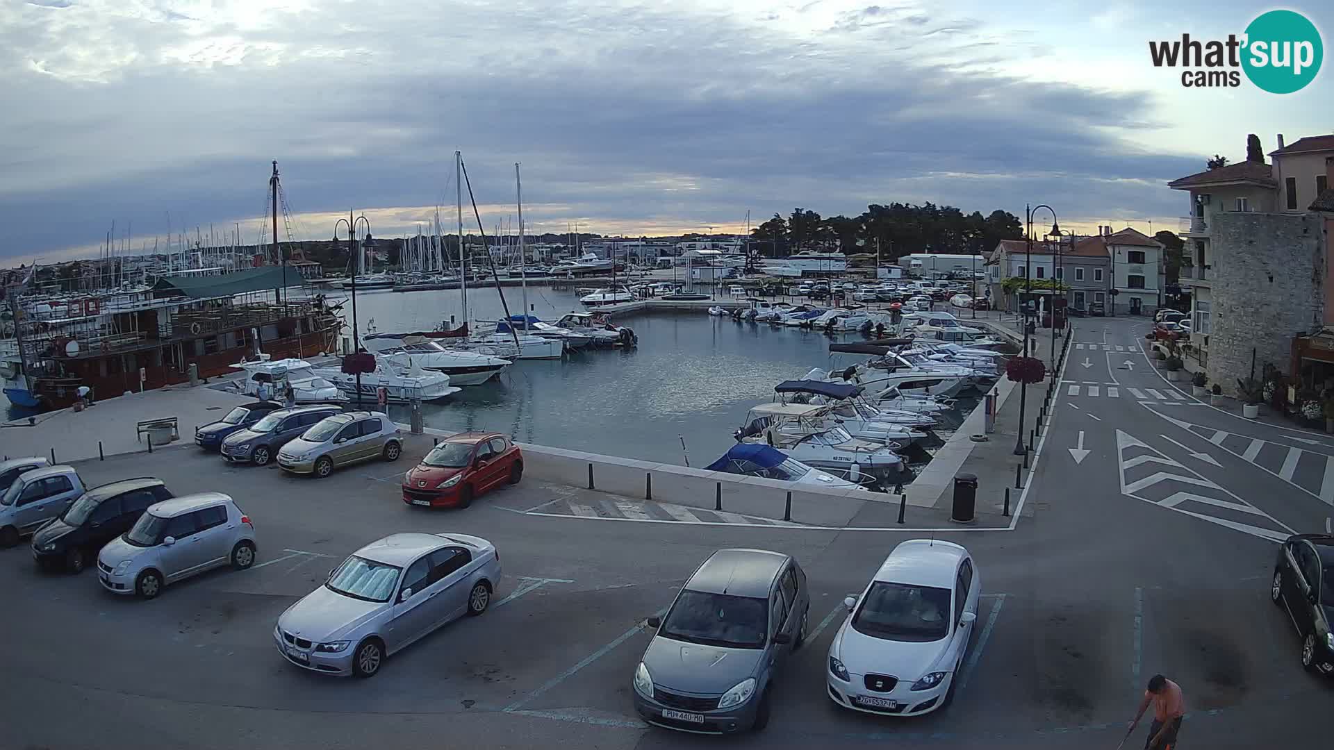 Novigrad | Porporela marina