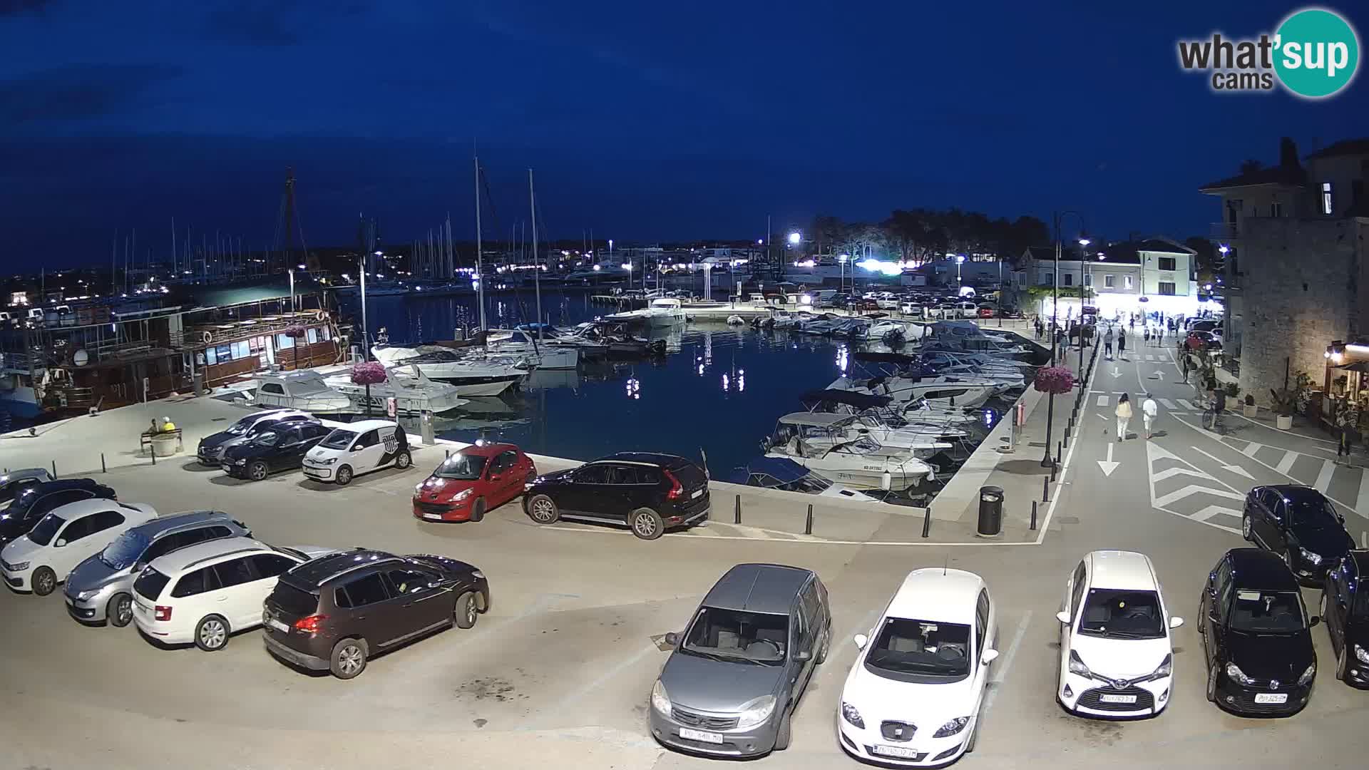 Novigrad | Porporela marina