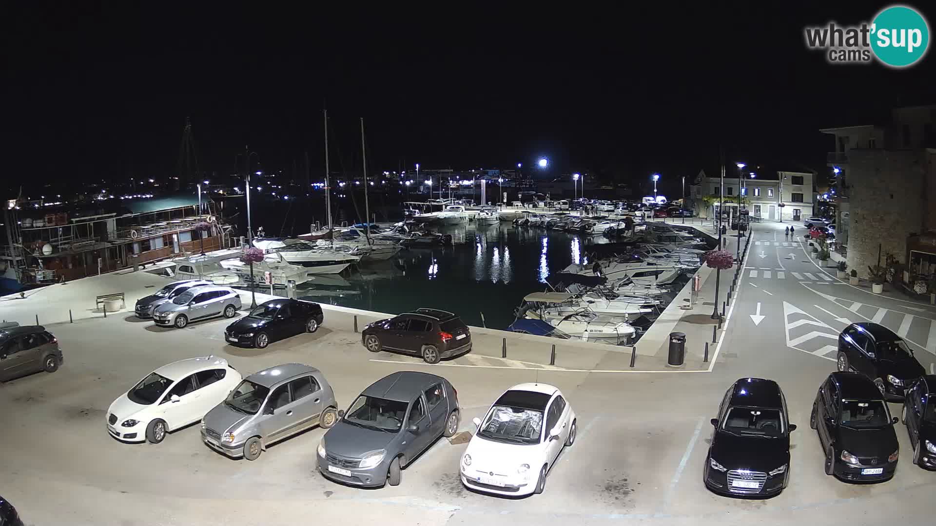 Novigrad | Porporela marina
