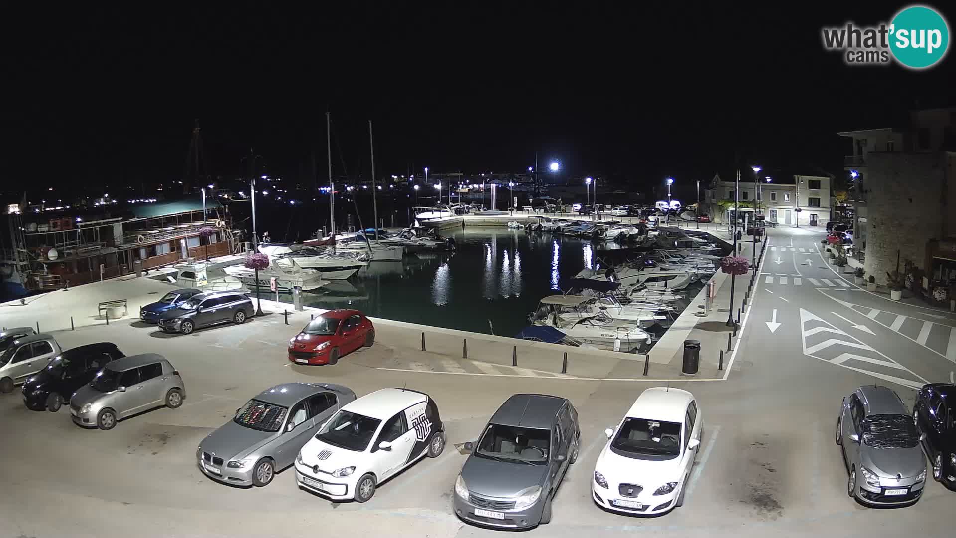 Novigrad | Porporela marina