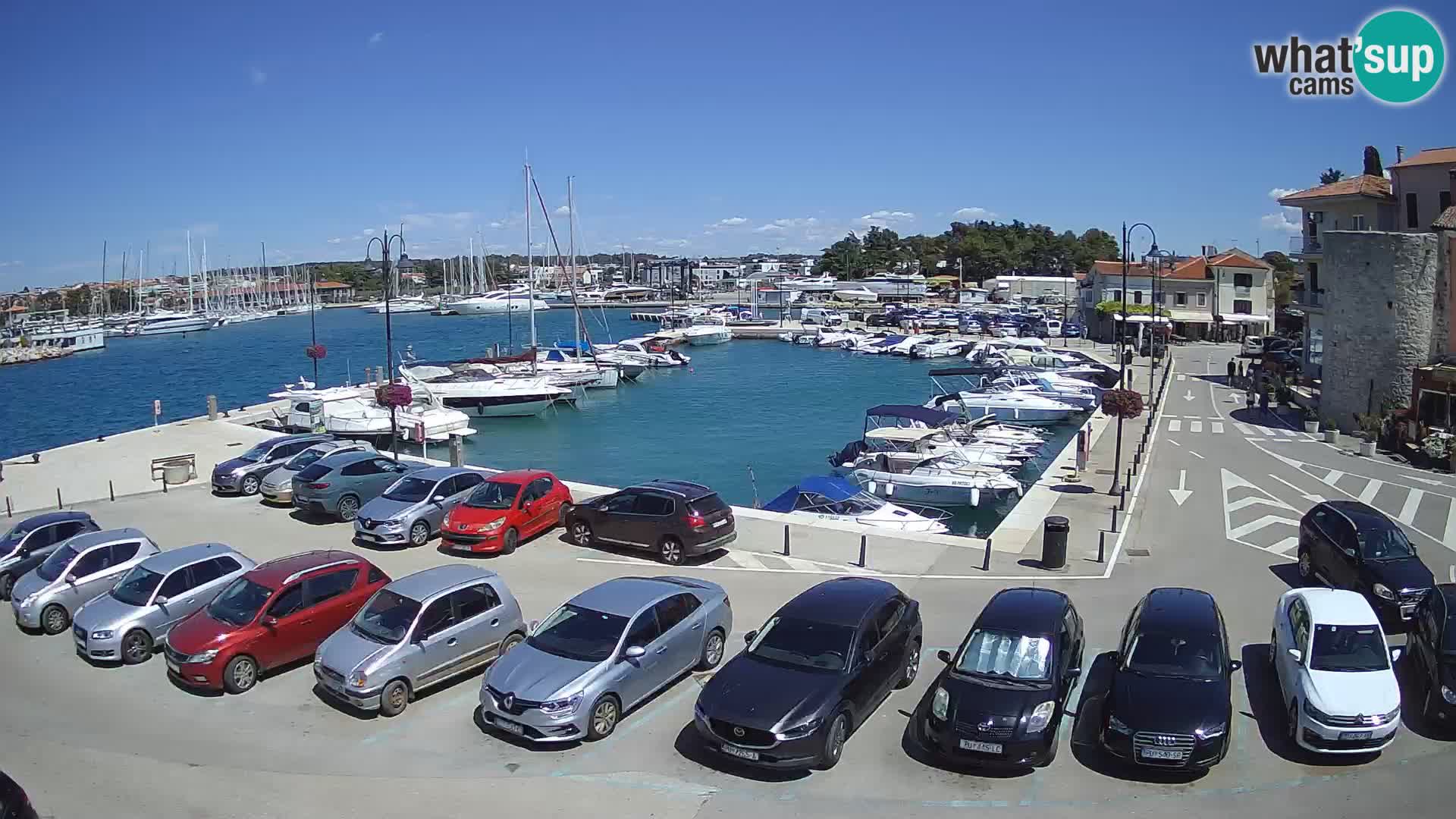 Novigrad | Porporela marina