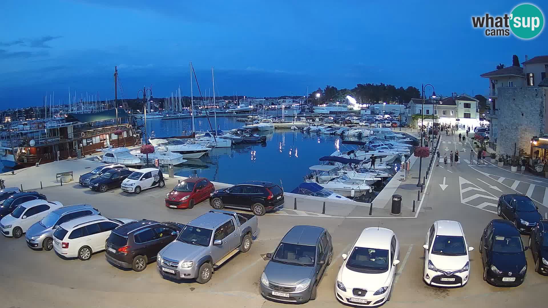 Novigrad | Porporela marina