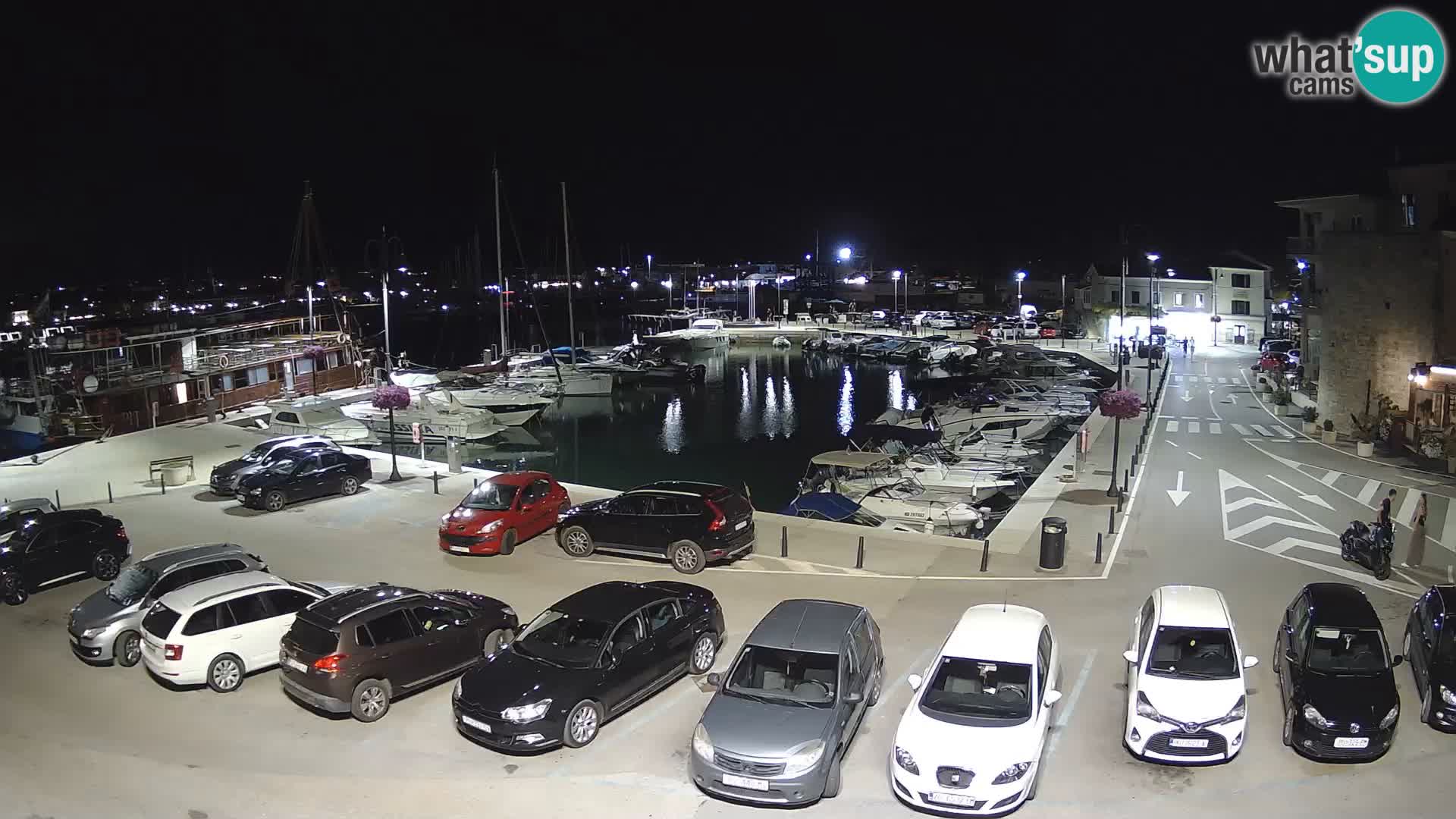 Novigrad | Porporela marina