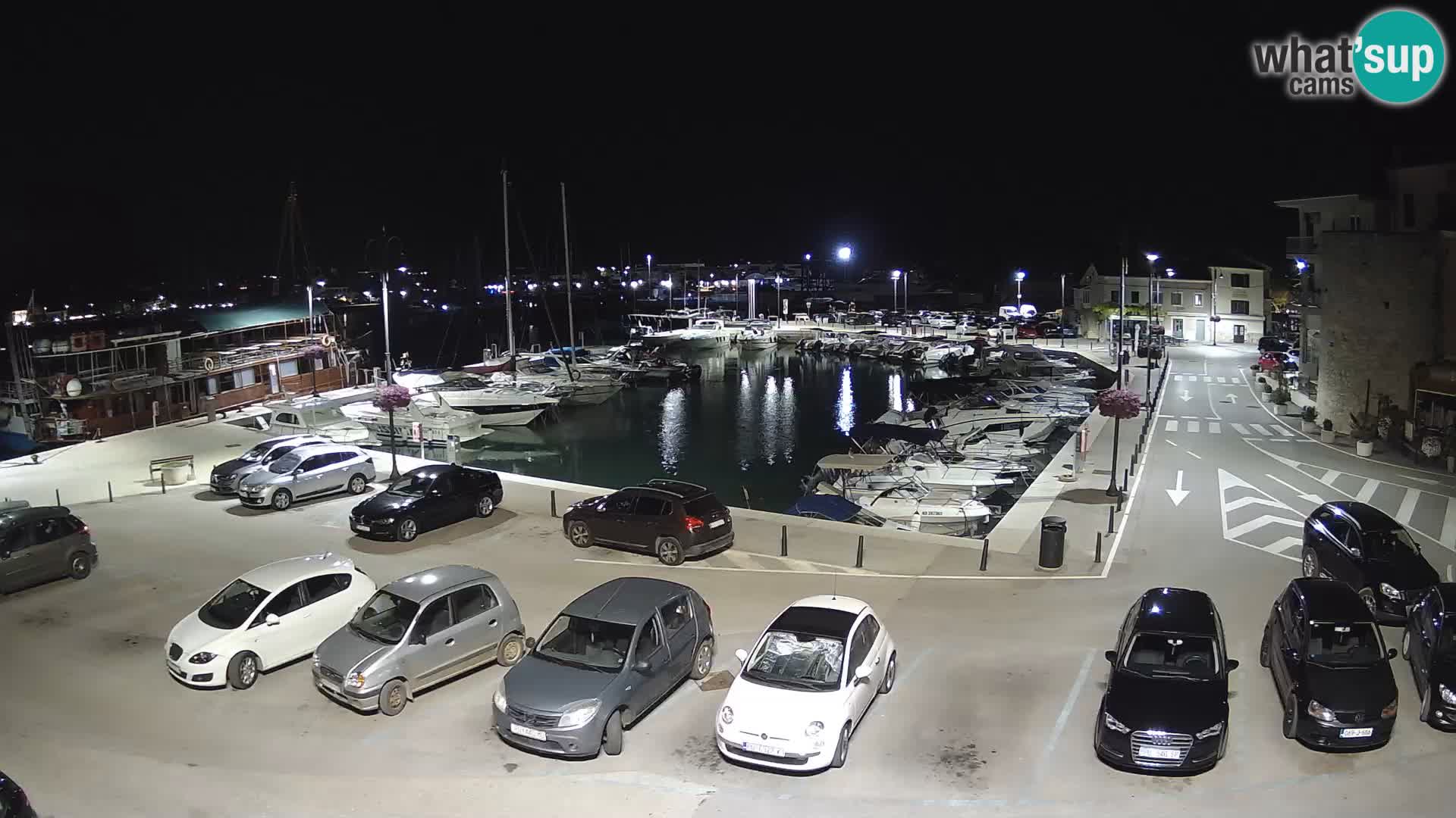 Novigrad | Porporela marina