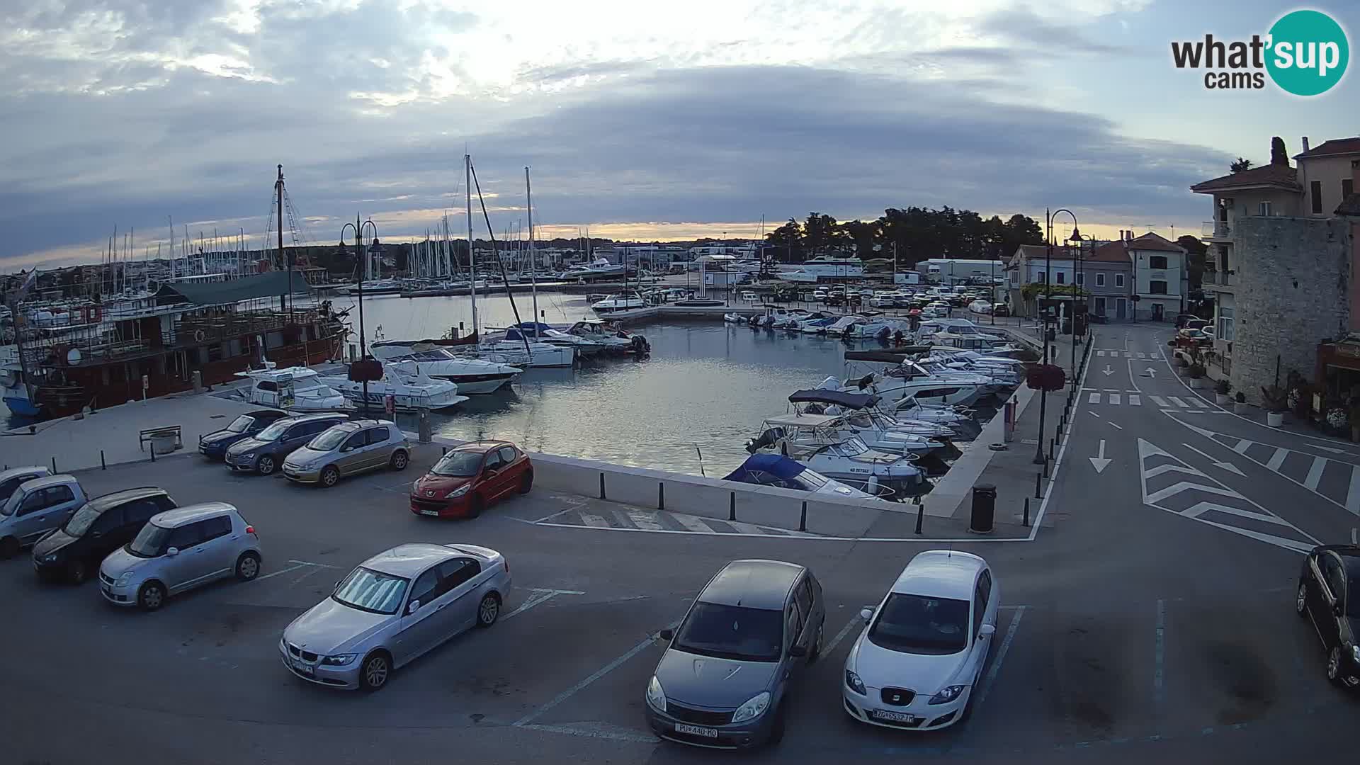 Novigrad | Porporela marina