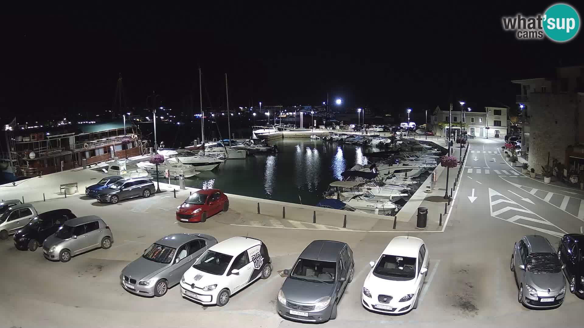 Novigrad | Porporela marina