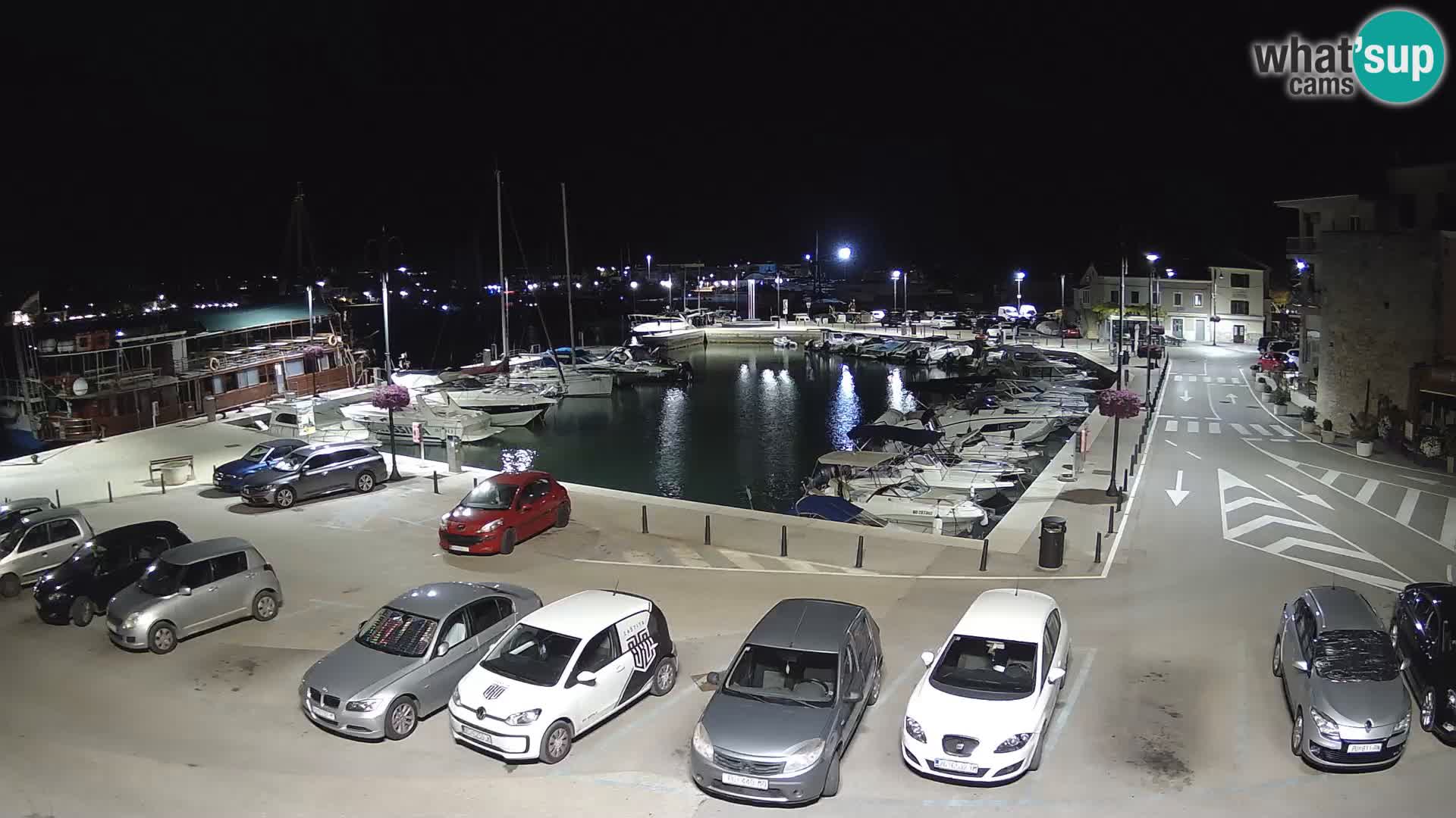 Novigrad | Porporela marina