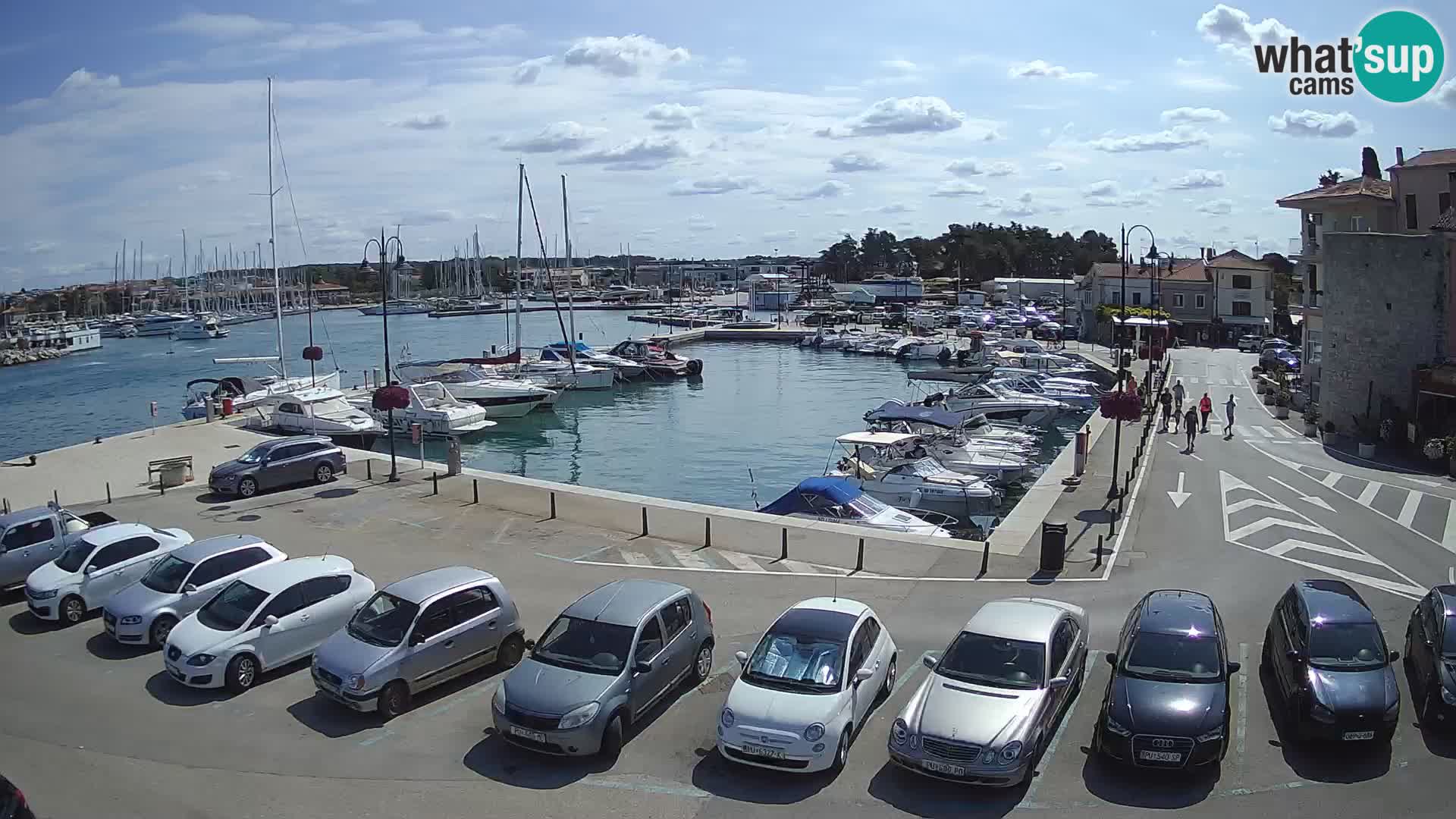 Novigrad | Porporela marina