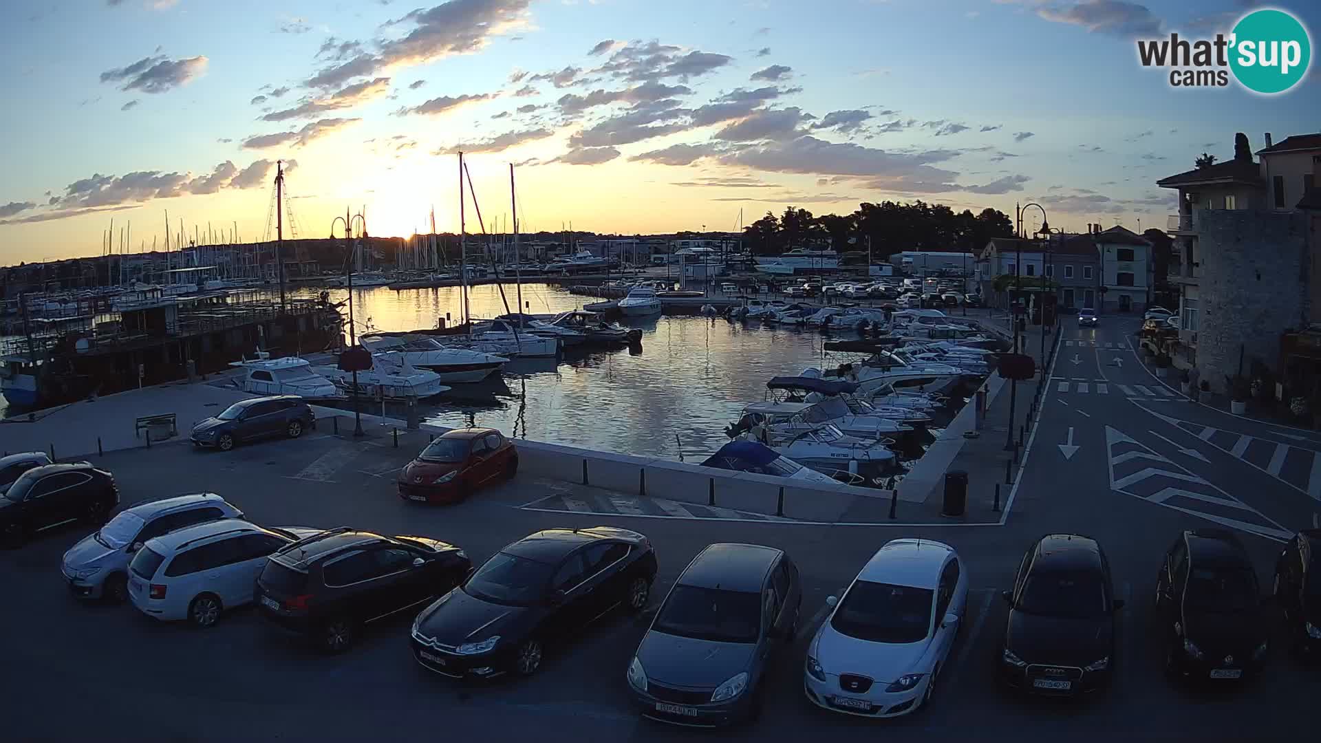 Novigrad | Porporela marina