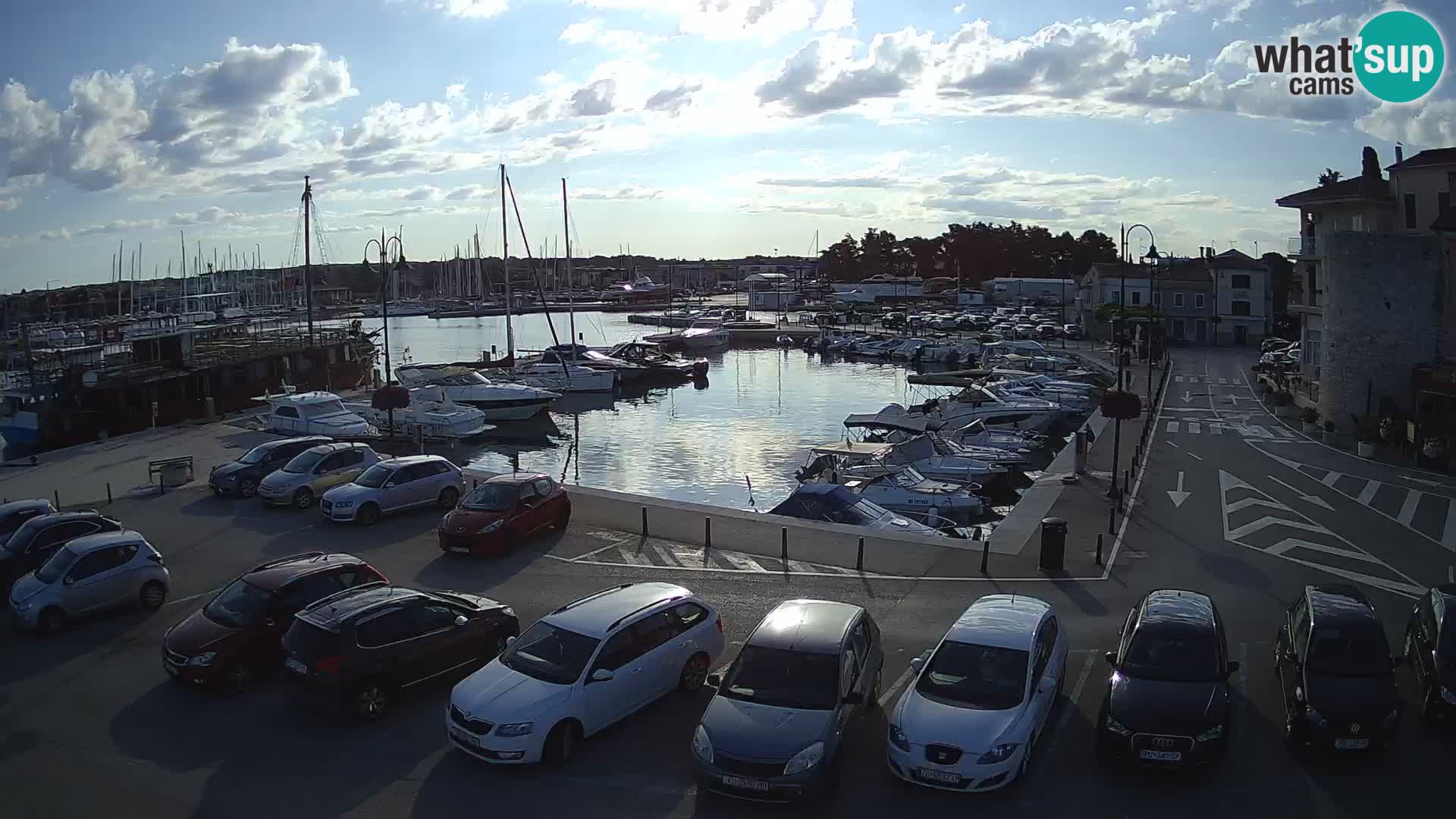 Novigrad | Porporela marina