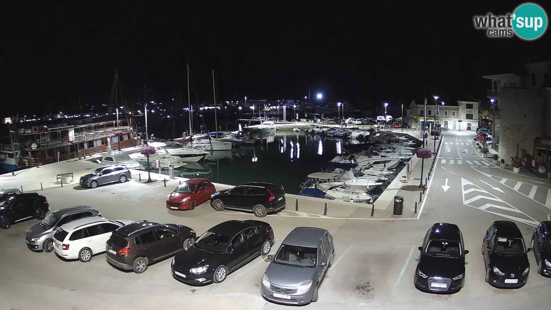 Novigrad | Porporela marina